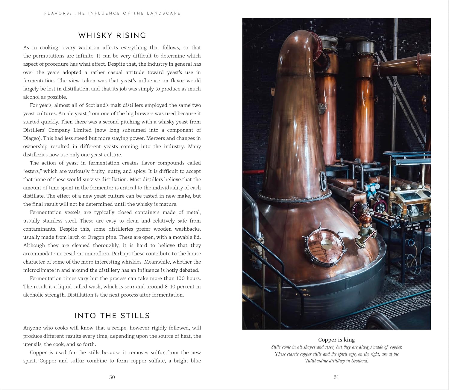 Michael Jackson's Complete Guide to Single Malt Scotch: The World's Best-selling Book on Malt Whisky
