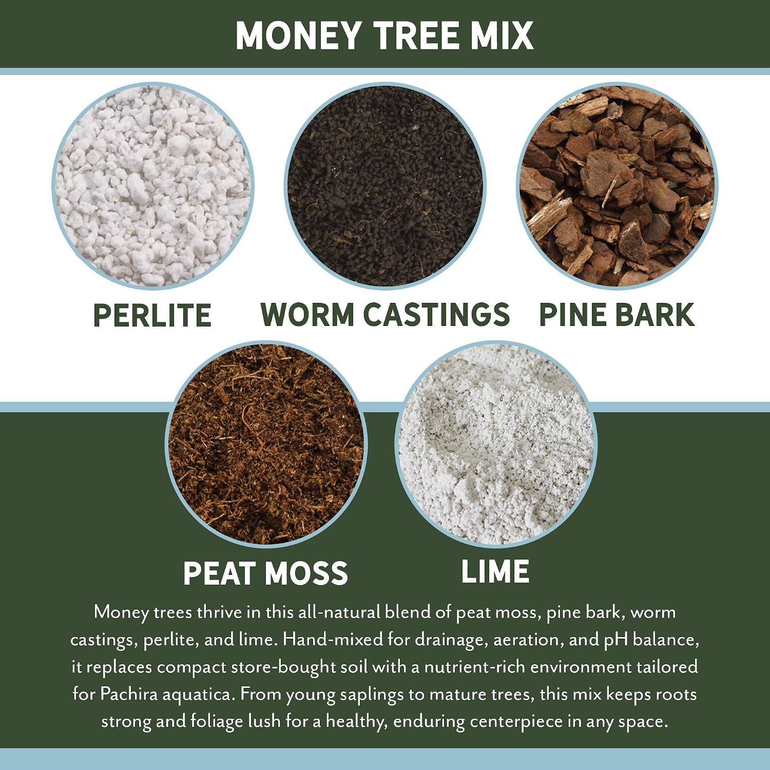 Planting Mix for Plant Propagation (4 Quarts), Hand Blended Soilless Mix for Propagating Plants, House Plants, and More