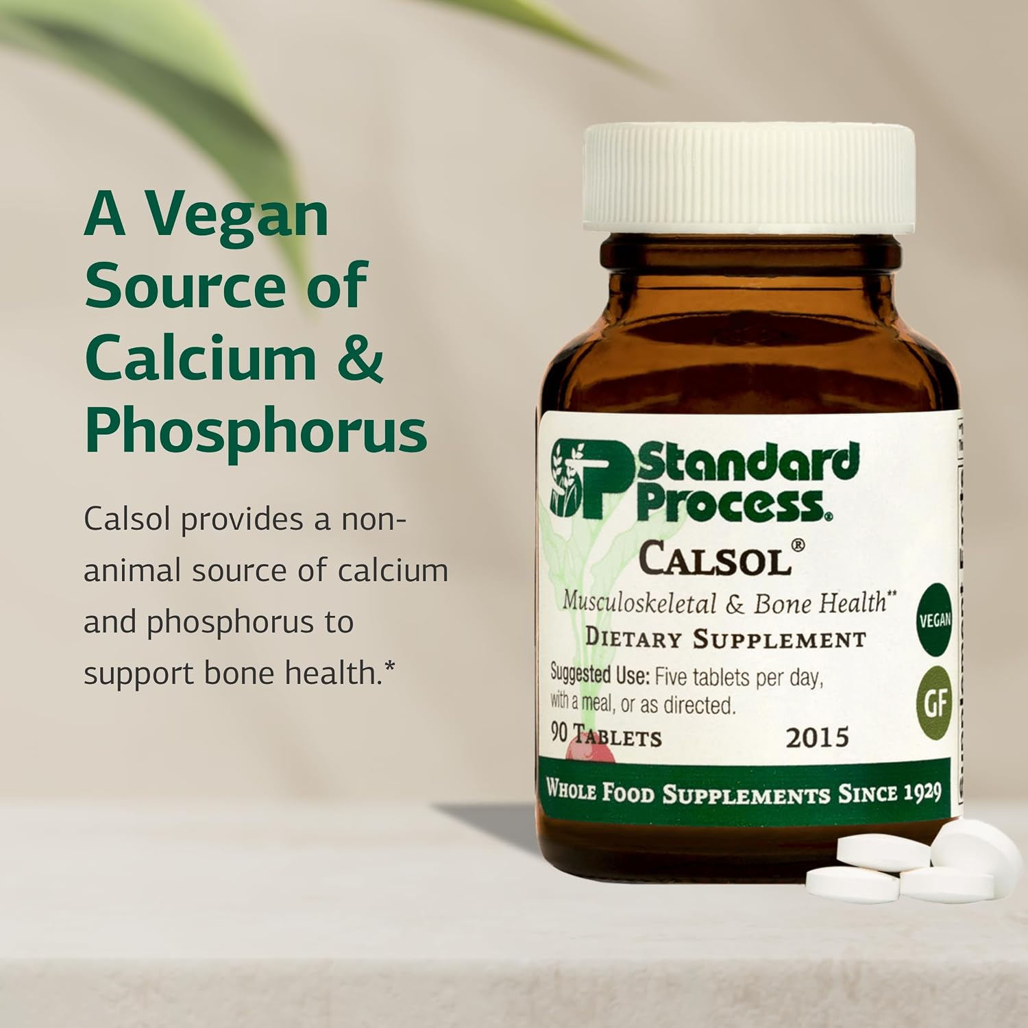Standard Process Calsol - Musculoskeletal & Bone Health Supplement - Skeleton Nutrition Supplement with Calcium & Phosphorus - Aids Nervous System &