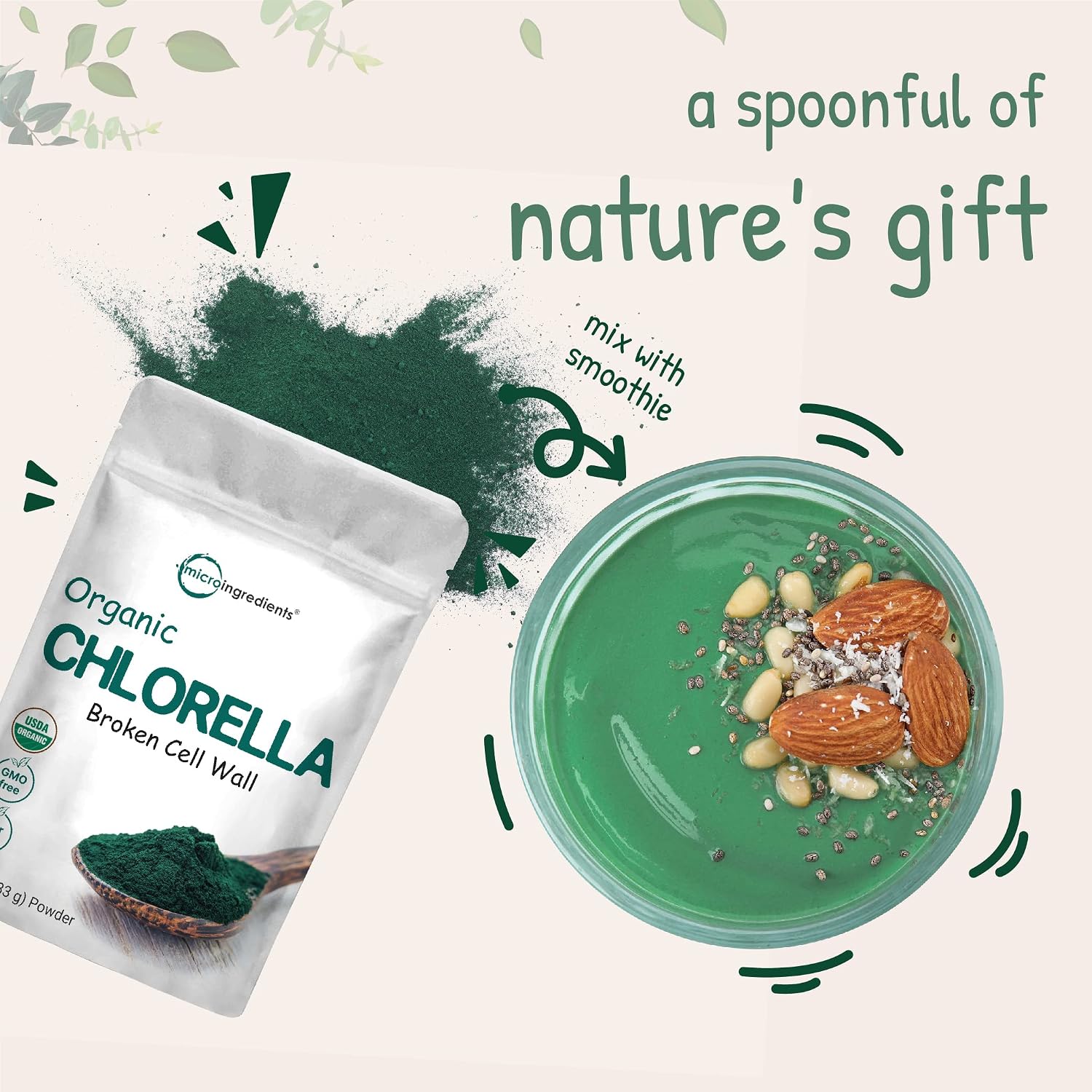 Organic Chlorella Powder, 10 Ounce, Broken Cell Wall, Rich in Vegan Proteins & Vitamins, Raw, Bulk Premium Chlorella Supplement, Vegan Friendly
