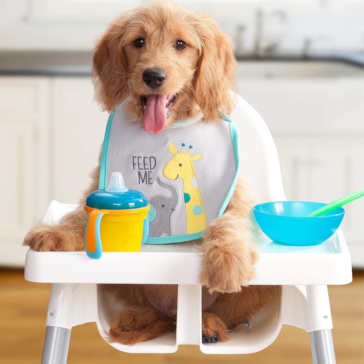 Fromm Puppy Gold Premium Dry Dog Food - Chicken Recipe - 15 lb