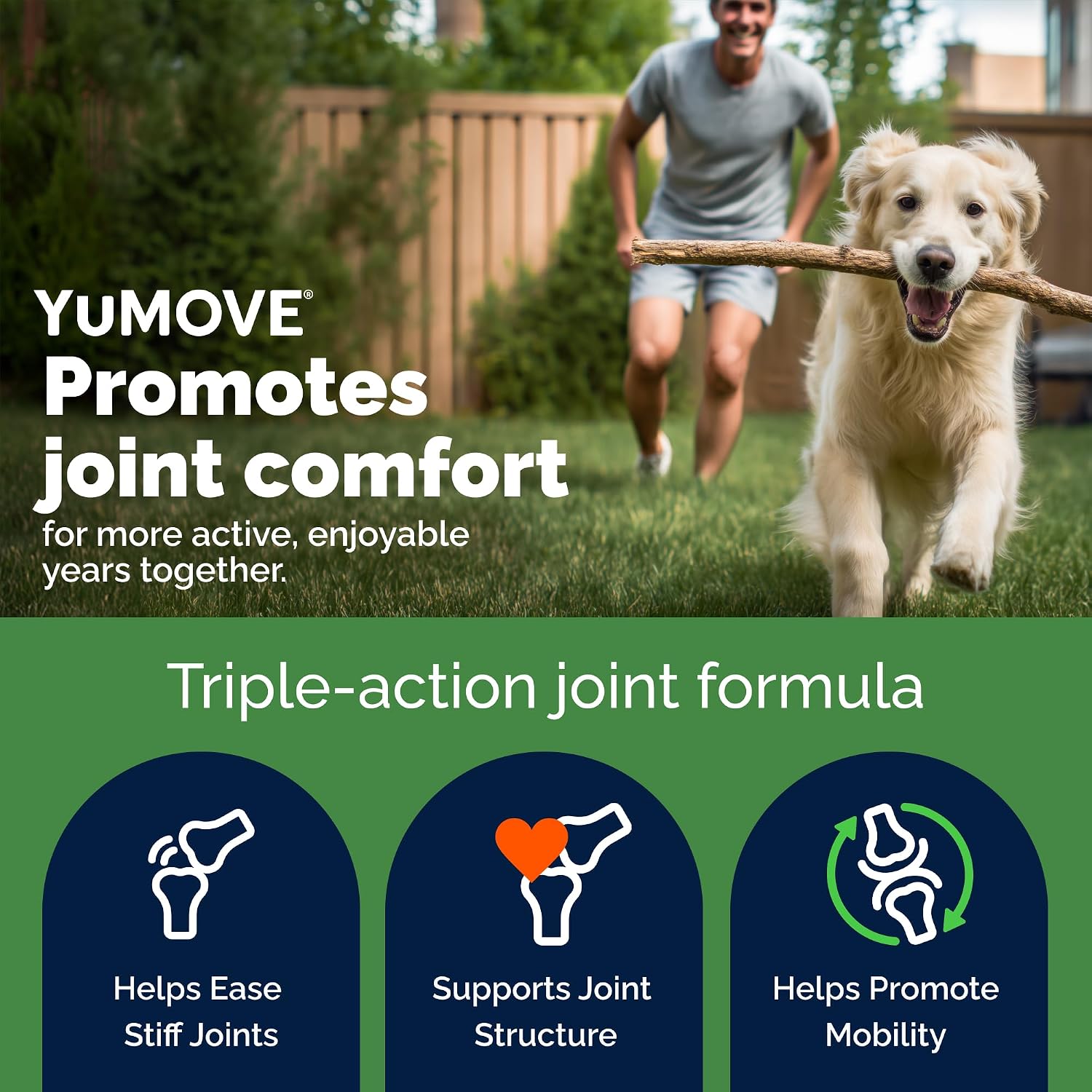 YuMOVE Dog Hip & Joint Supplement, Regular Strength 60 Chewable Tablets | ActivEase Green Lipped Mussel, Glucosamine for Dogs, Hyaluronic Acid & Omega 3 Joint Supplement, NASC Certified