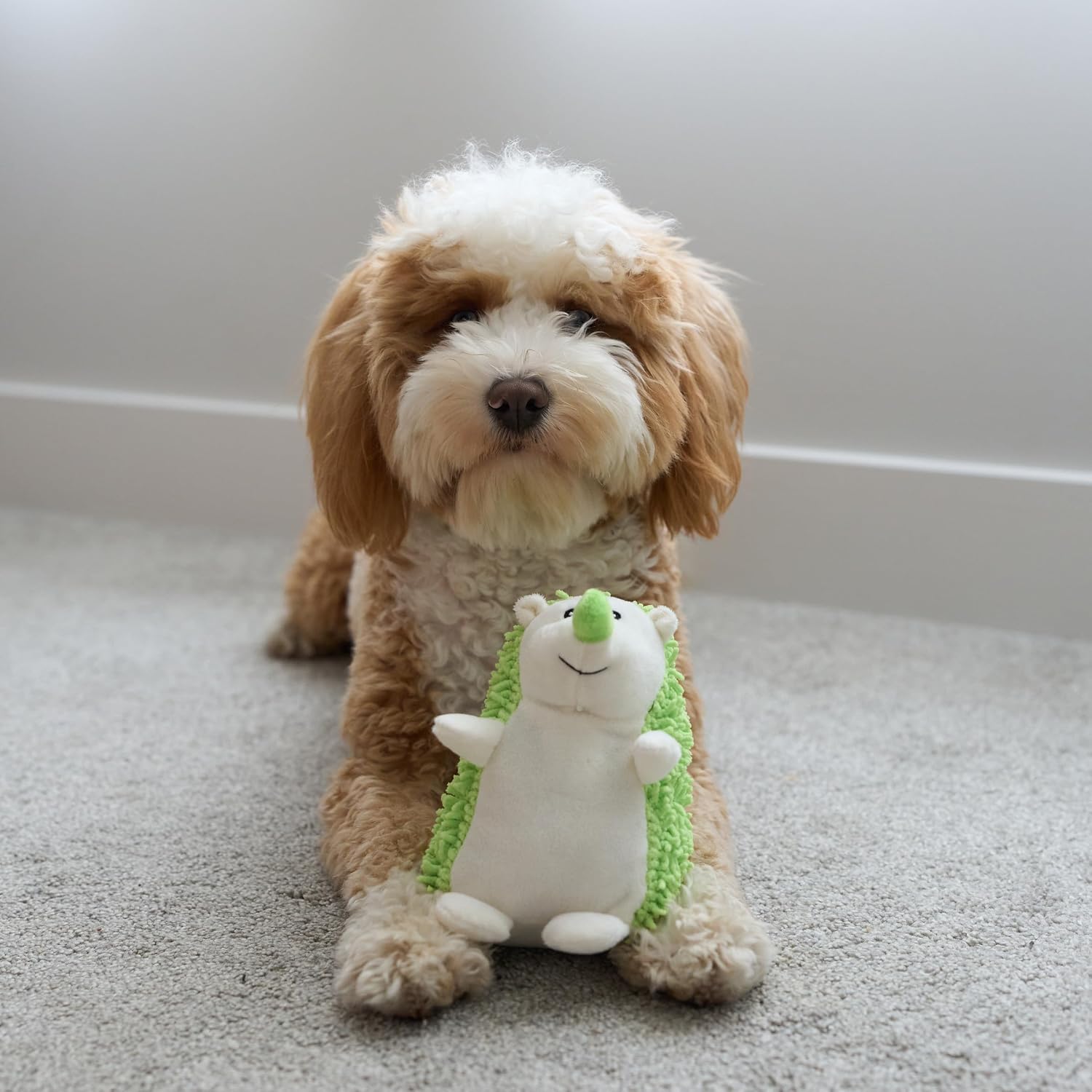 SPOT Gigglers Hedgehog Dog Toy with Giggle Sound | Textured, Plush Shake and Wiggle Hedgehog Giggle Toy for Small and Medium Dog Breeds