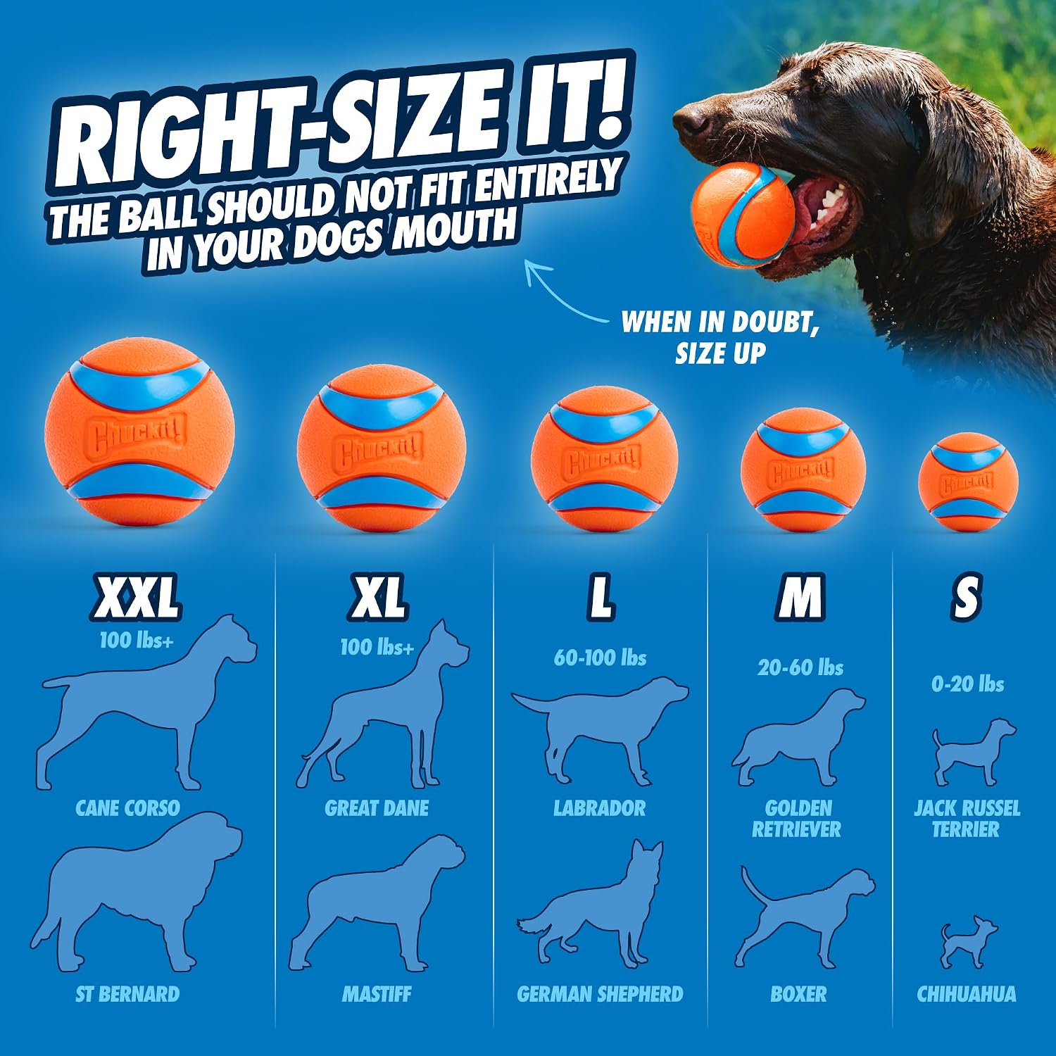 Chuckit! Ultra Ball Dog Toy - Size Large - For Dogs 60-100 lbs - Made from Durable Rubber - Super Bouncy - Floats in Water - 3-inch Diameter - Pack of 1