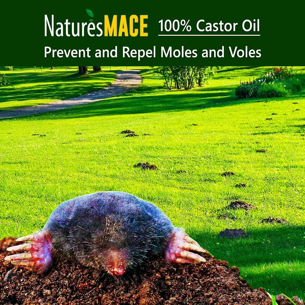 Nature's MACE Mole and Vole Mace, Mole Deterrent for Yard, 1 Gallon, 100% Pure Castor Oil, Lawns, Mole Repellent, Stop Tunneling, Mole Remover Treatment, Castor Oil Repellent, People, Pet, Plant Safe