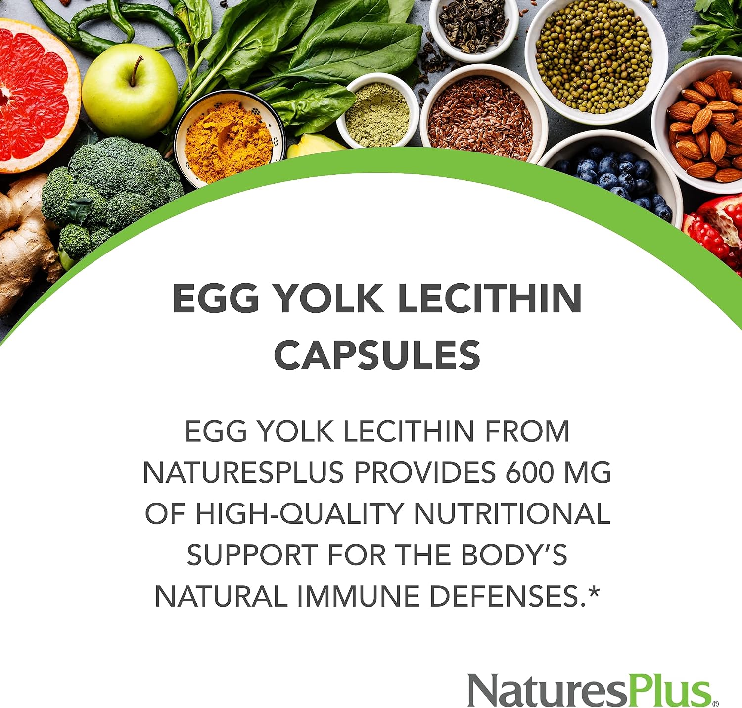NaturesPlus Egg Yolk Lecithin - 600 mg, 180 Capsules - Soy Free, Gluten Free - 90 Servings