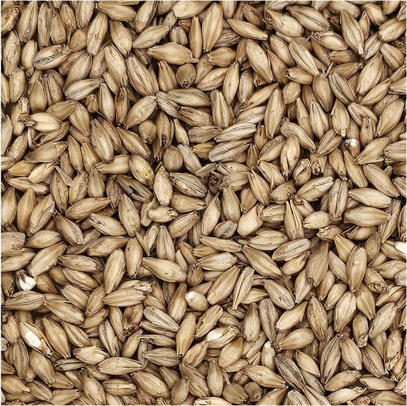 Rahr Standard 2-Row Malt 10 lb