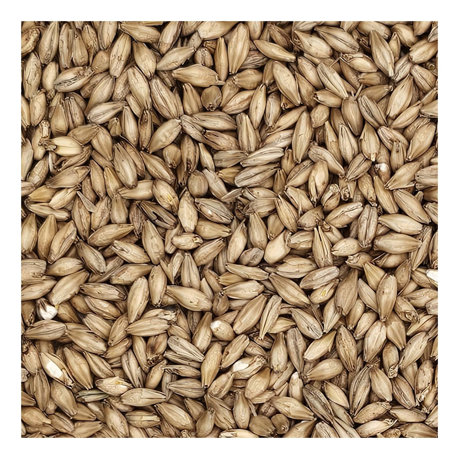 Rahr Standard 2 Row Malt 10 Lb.