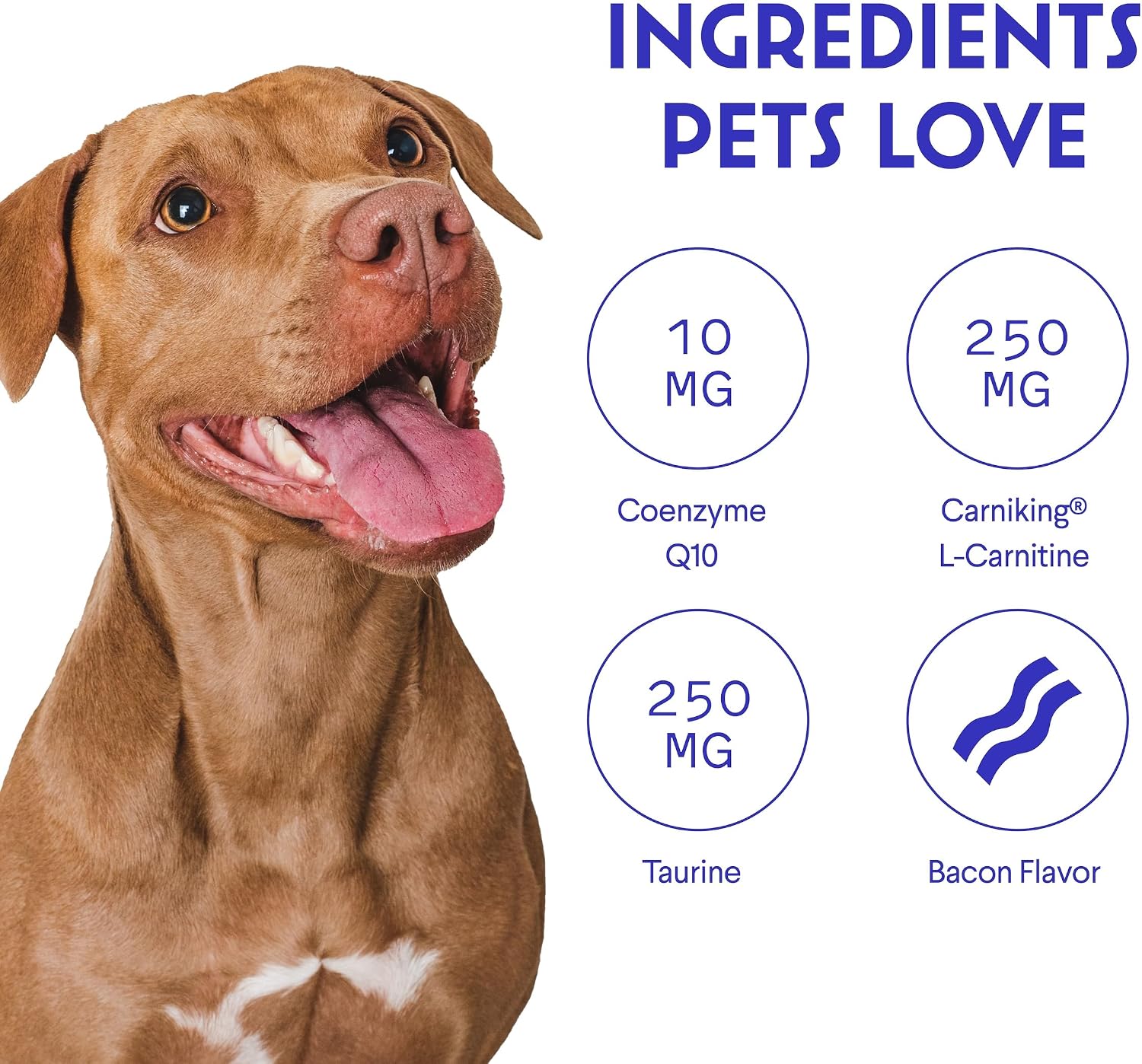 Wonder Paws Cardio Support for Dogs – Cardiovascular Chews Heart Health, Circulation, Energy & Weight Management - with L-Carnitine, Hawthorn Berry