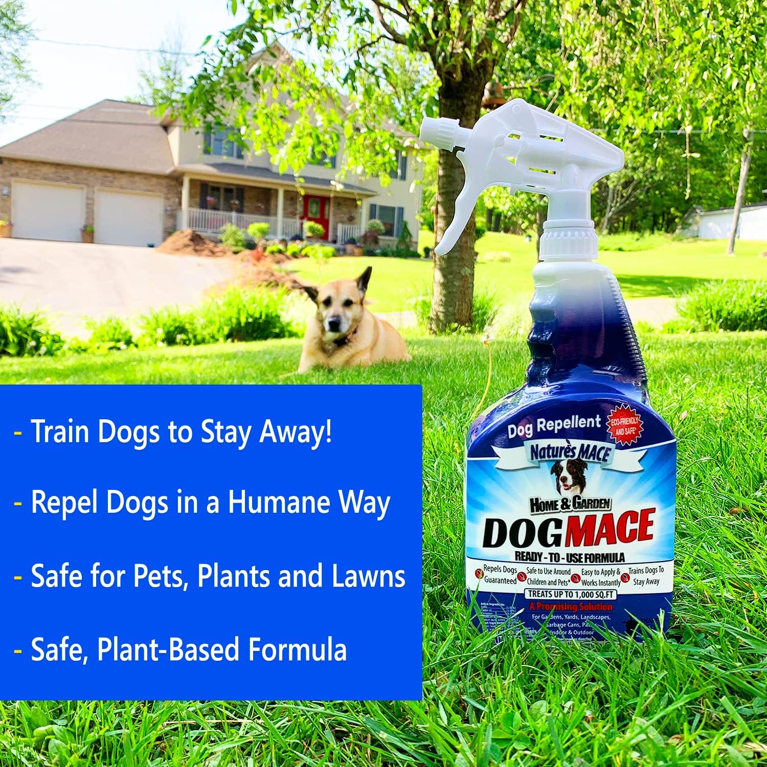 Nature's MACE Dog Mace Dog Repellent 1 Gallon Concentrate | Potty Training Tool Spray, Indoor & Outdoor, Pee Deterrent, Safe Around Kids, Pets, Garden & Plants, Treats 48,000 Sq. Ft.
