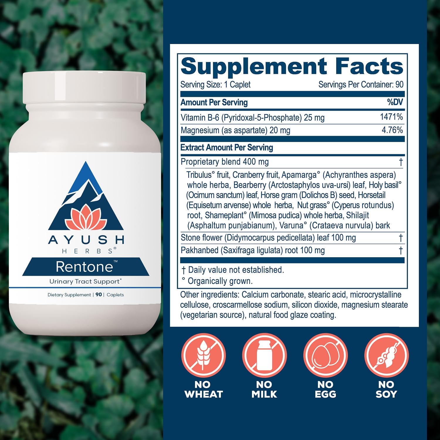 Ayush Herbs Rentone, Kidney Support Supplement with Cranberry, 90 Servings | Kidney Cleanse Pills for Women & Men, Urinary Health & Bladder Function