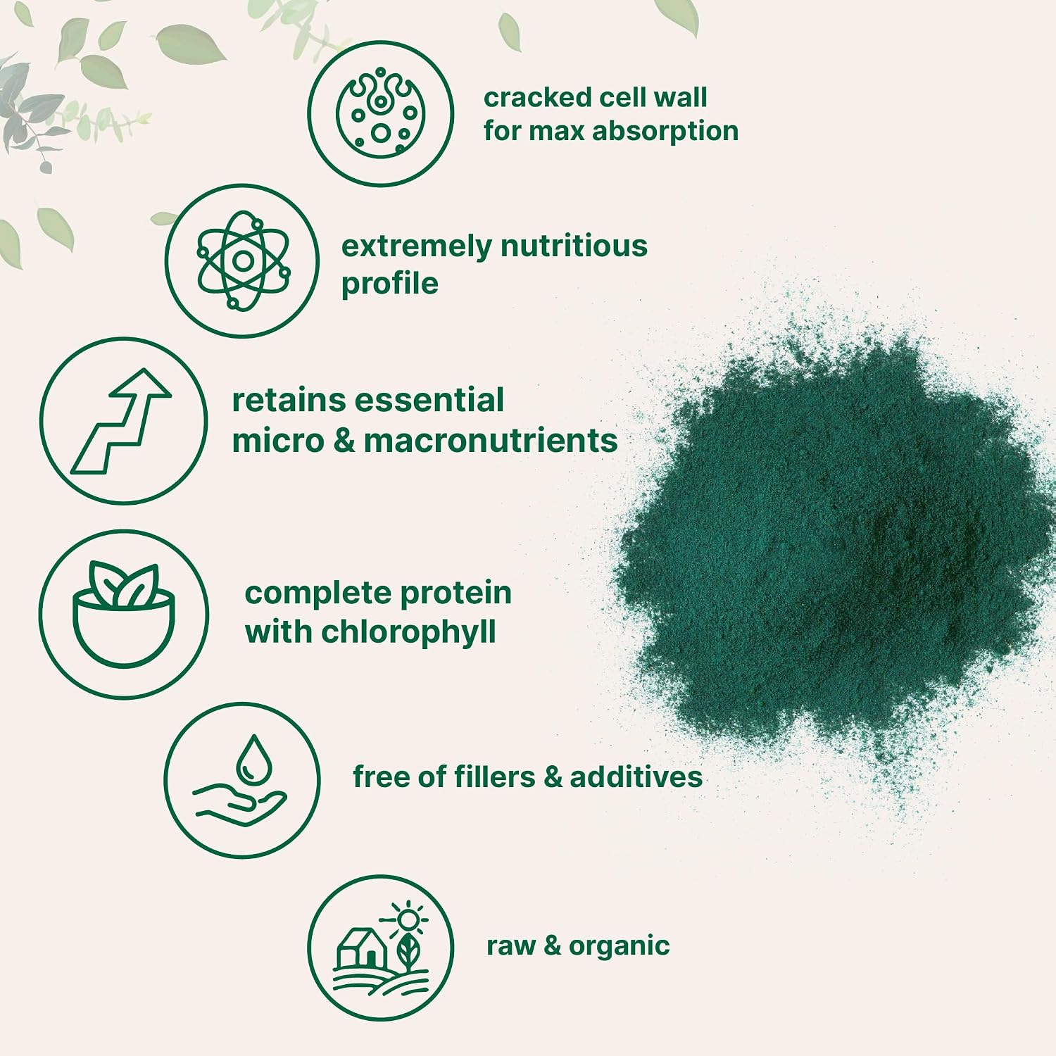 Micro Ingredients Organic Chlorella Powder, 20 Ounces | Broken Cell Wall for Complete Absorption | Raw Superfood Supplement