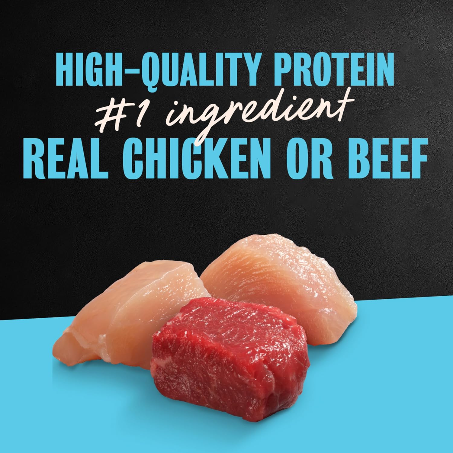 Cesar Wet Dog Food, Steak Lovers Variety Pack, 3.5 oz, 36 Count | Real meat #1 ingredient, easy peel trays, 100% complete & balanced, no fillers, no added sugar, no artificial flavors