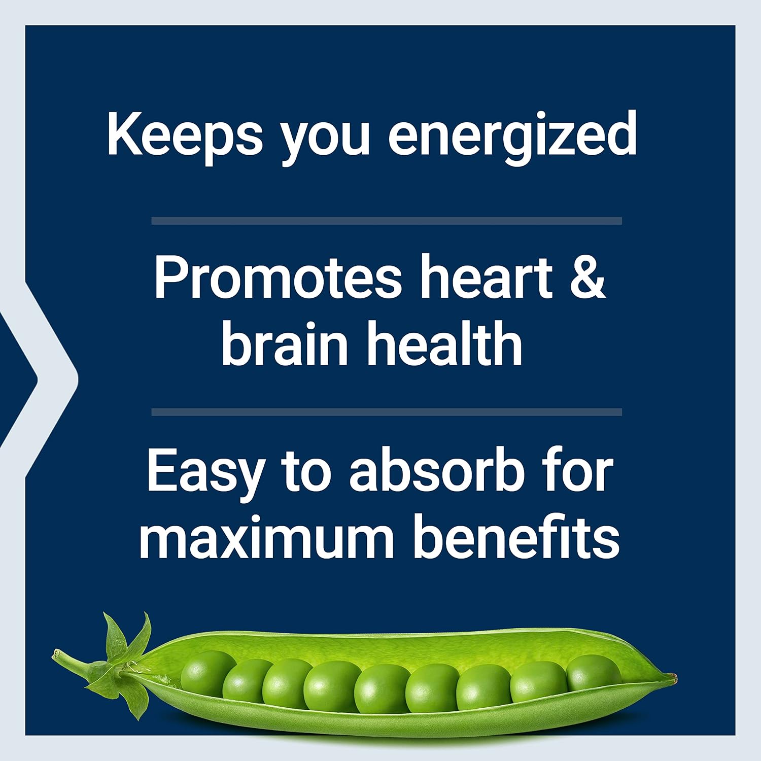 Life Extension BioActive Complete B-Complex, Heart, Brain and Nerve Support, Healthy Energy, Metabolism, Complete B Complex, 60 Vegetarian Capsules | Complete B Complex for Heart, Brain & Nerve Support with Healthy Energy & Metabolism in Vegetarian Capsu…