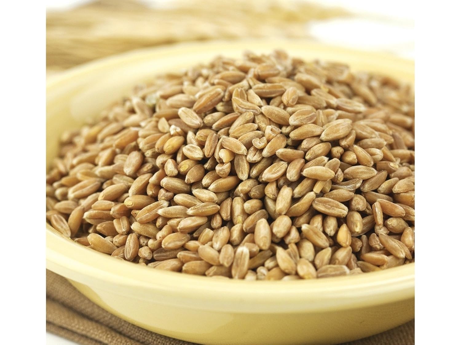 Spelt Berries 50 lbs.