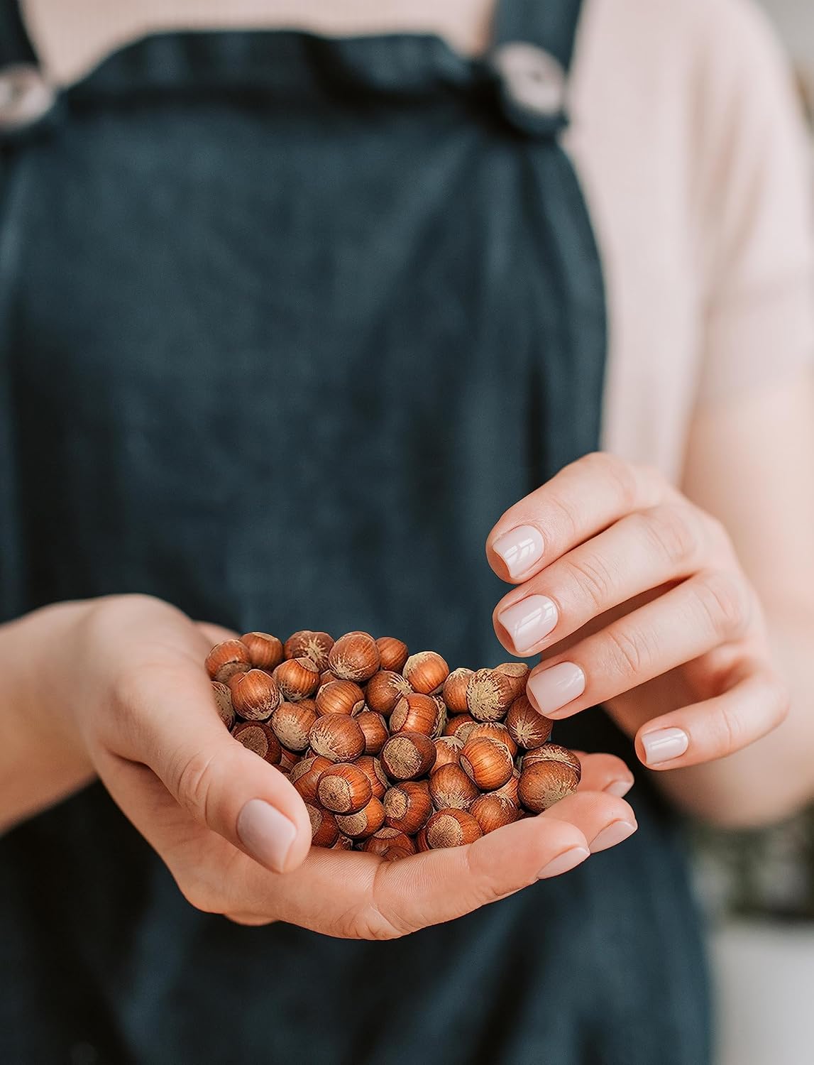 Anna and Sarah Large Oregon Hazelnuts in Shell in Box, 5 Lbs