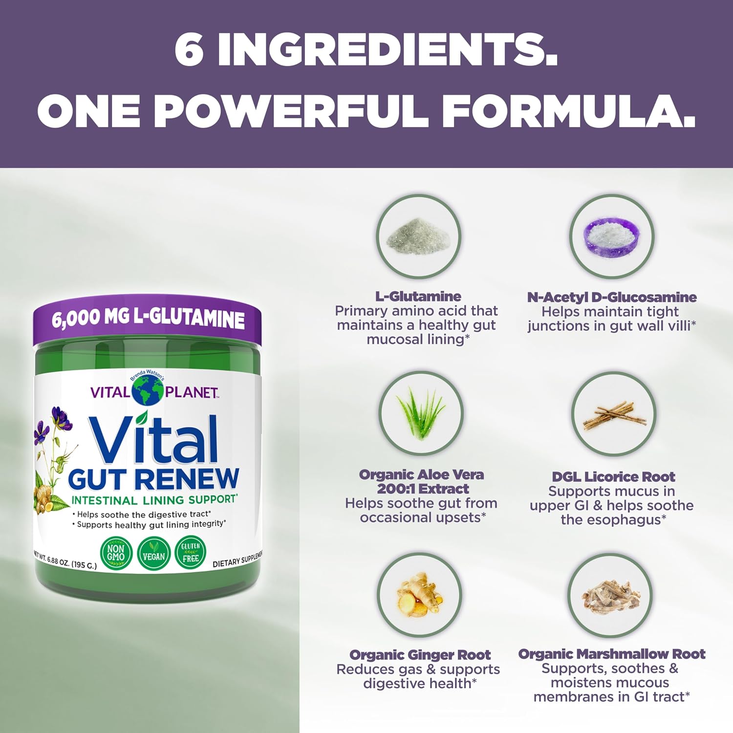 Vital Planet - Vital Gut Renew Powder Supplement for Leaky Gut Repair with L-Glutamine, Marshmallow and Ginger Root