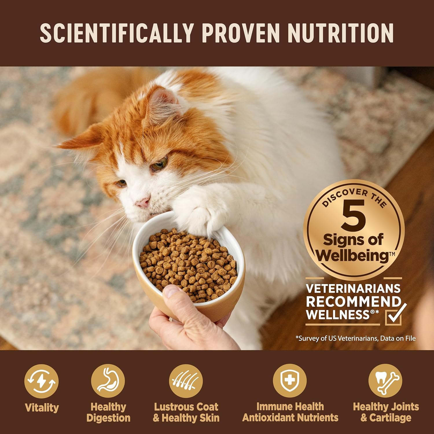 Wellness CORE+ Adult Dry Cat Food for Indoor Cats, Natural, Grain Free Kibble, Chicken, Turkey and Chicken Meal Recipe, 5 lb Bag