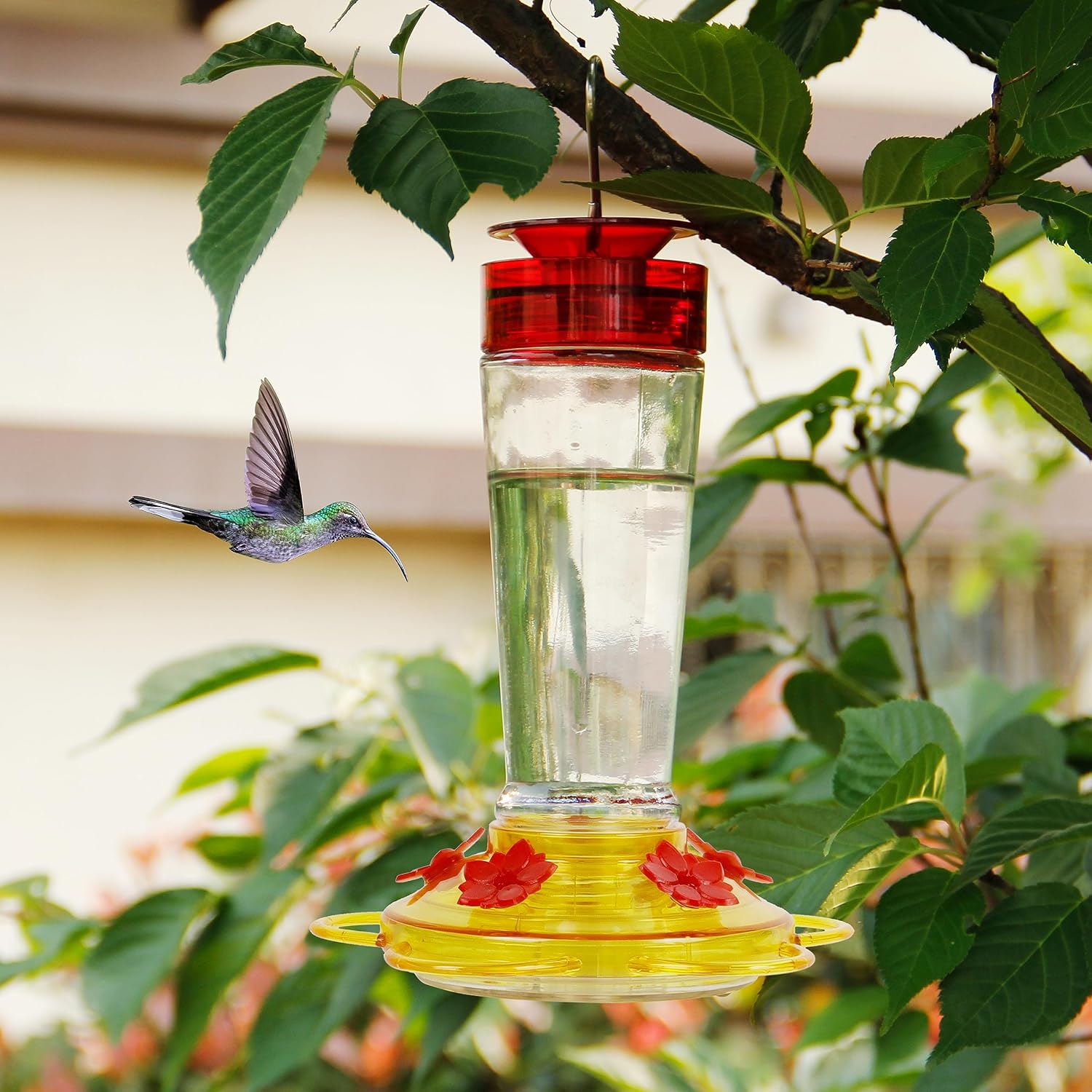 Shrdaepe Hummingbird Feeder, Glass Bottle Bird Feeders, 5 Feeding Ports, 10-Ounce Nectar Capacity