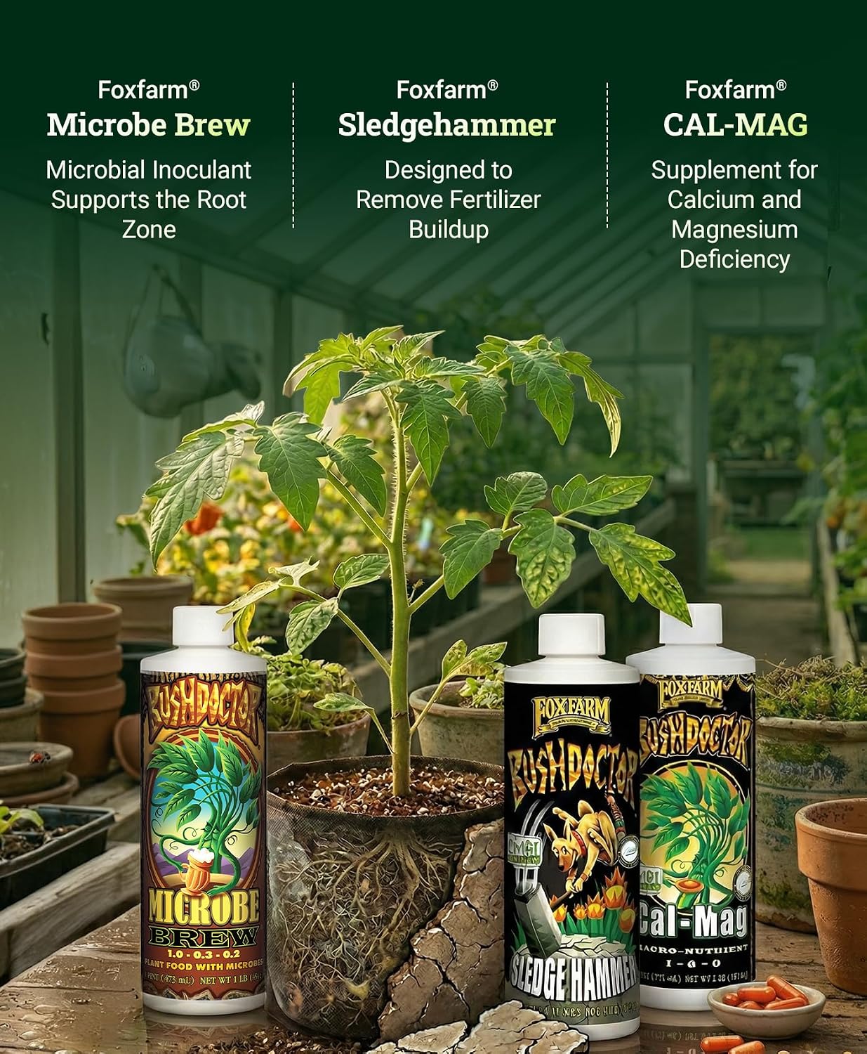 FoxFarm Dirty Dozen Liquids & Solubles Starter Pack - 3 Solubles (Open Sesame, Beastie Bloomz, Cha Ching) & 9 Pint Liquids (Big Bloom, Tiger Bloom