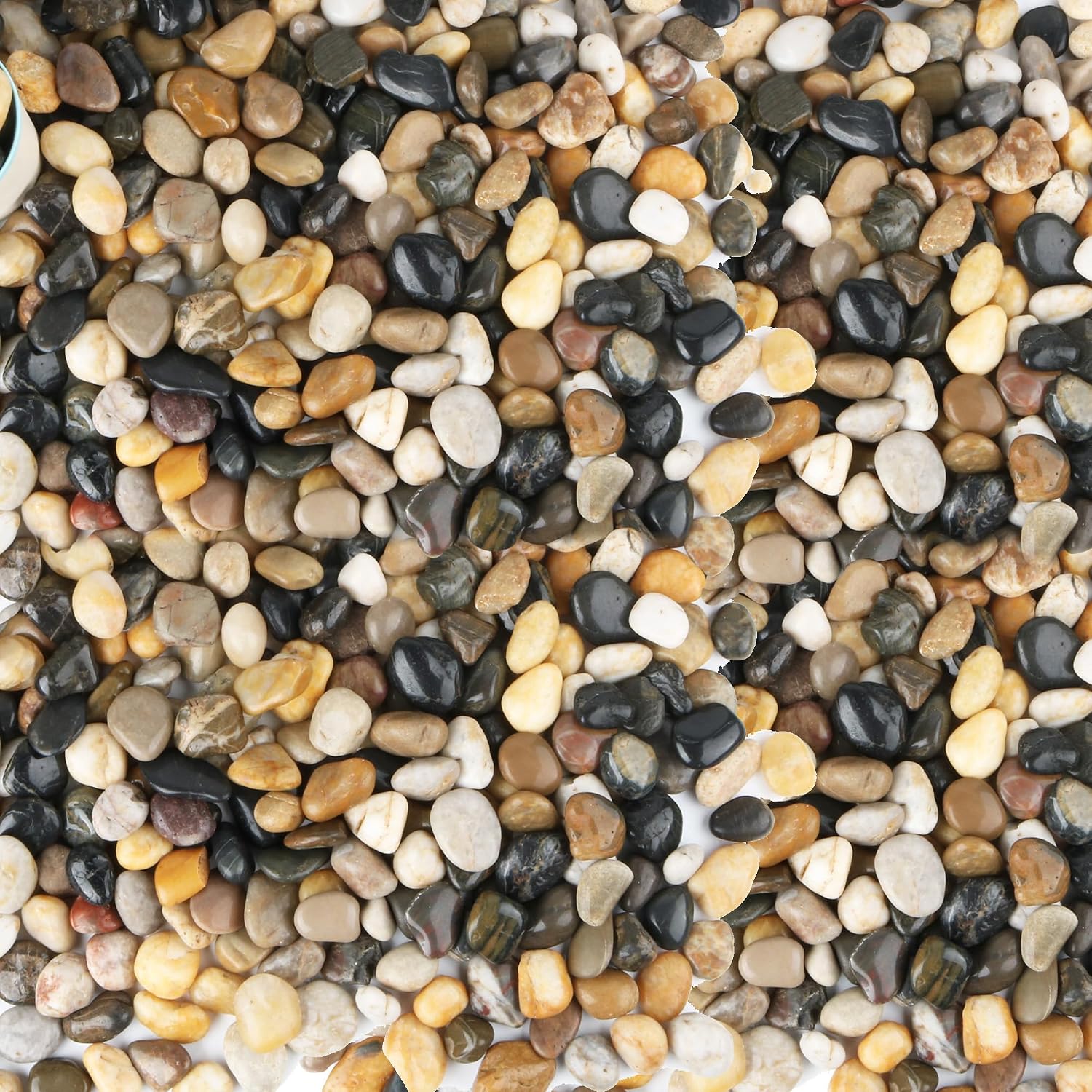 Pebbles for Plants 3 lb Natural Garden Decorative Stone Outdoor Aquariums Gravel 1-1.5 Inches