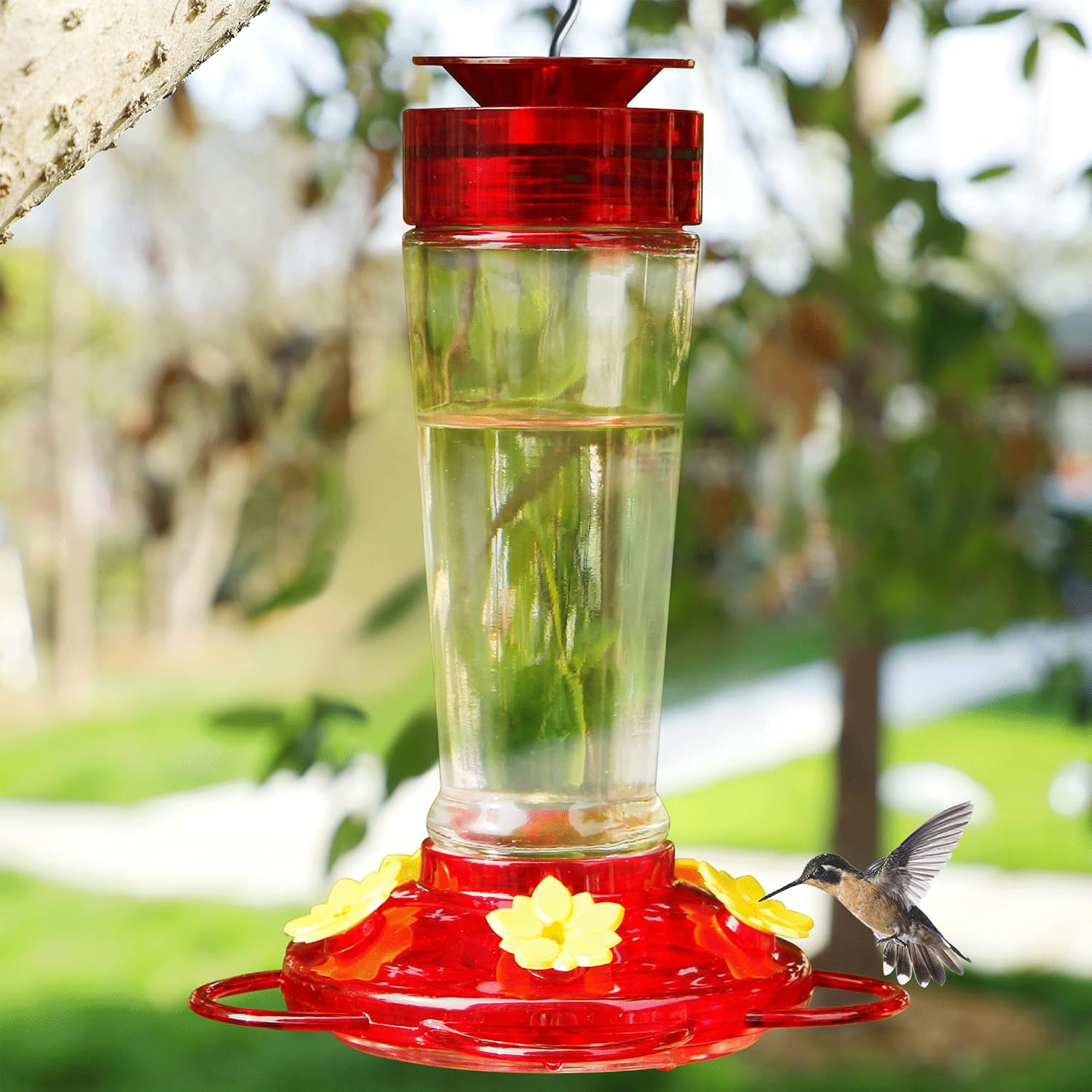 Shrdaepe Hummingbird Feeder, Glass Bottle Bird Feeders, 5 Feeding Ports, 10-Ounce Nectar Capacity