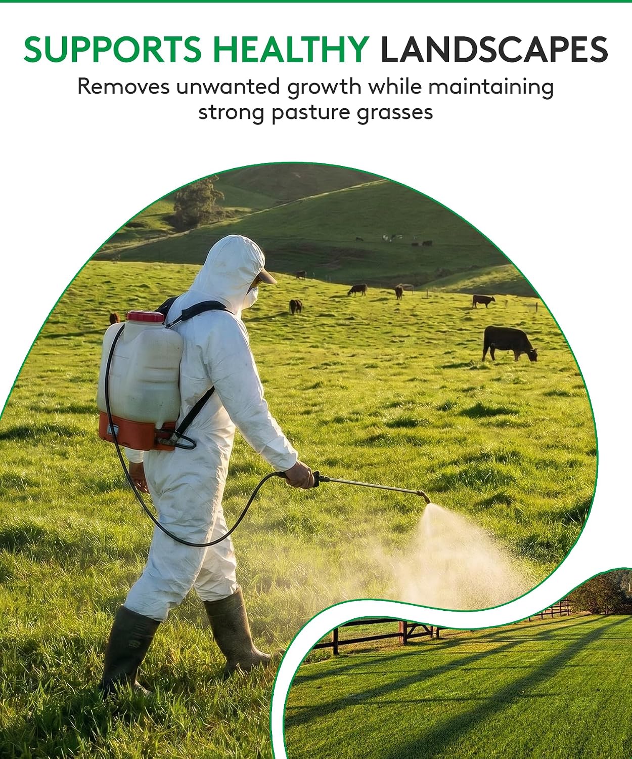 ALLIGARE MSM 60 DF - Selective Broadleaf Brush and Weed Killer for Pastures, Rangelands, Forestry, Roadsides & Industrial Sites - Low Use Rates, Tank-Mix Compatible - 8 oz