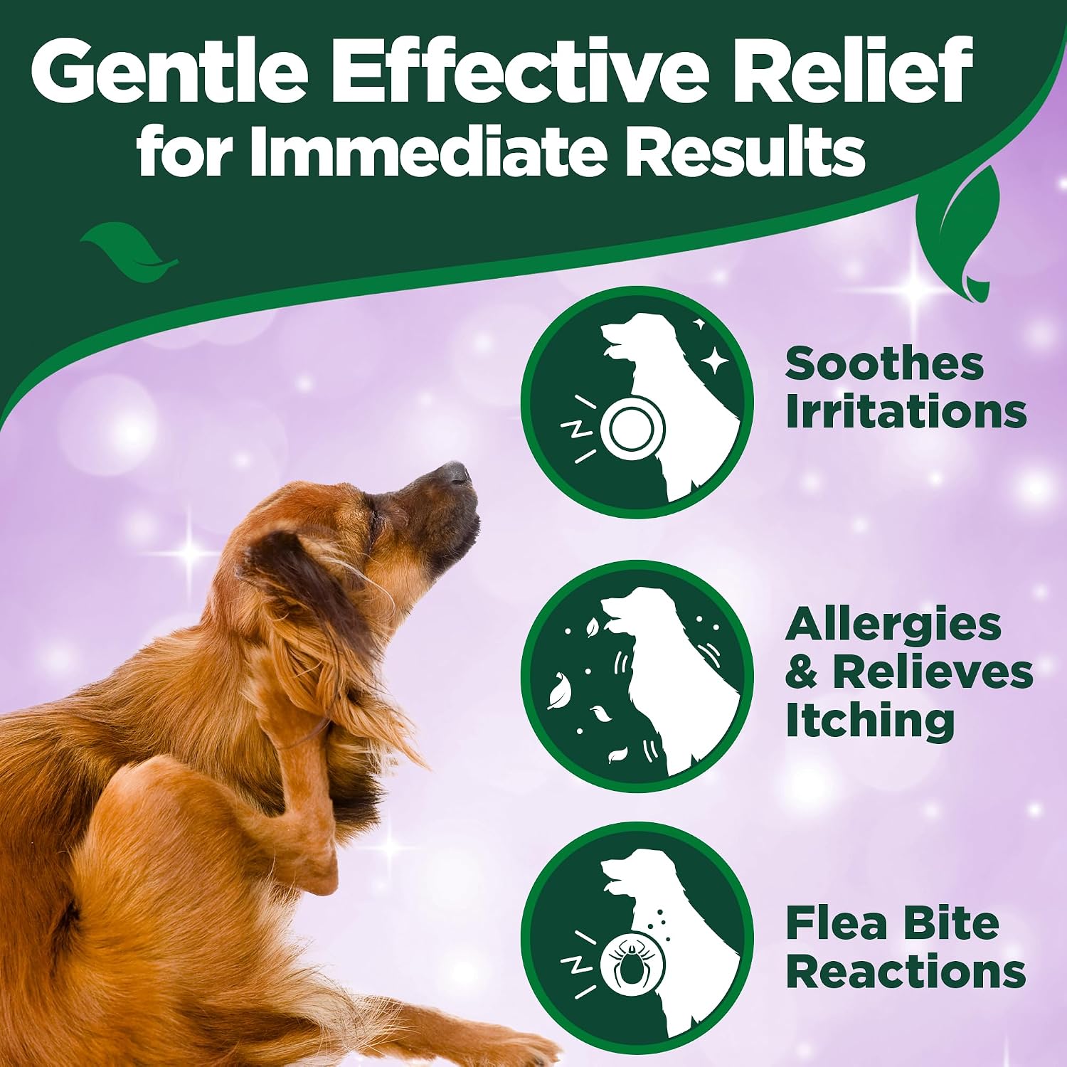 Vet's Best Allergy Itch Relief Spray for Dogs, Dry Skin Relief, 8 oz | Helps Relieve Dry, Itchy Skin, Reduces Licking & Scratching