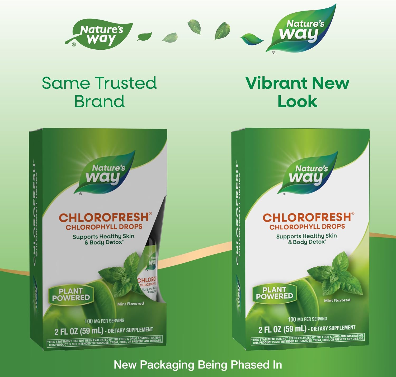 Nature's Way Chlorofresh Chlorophyll Drops, Mint Flavored, 2 Fl Oz | Supports Detox Pathways*, Liquid Chlorophyllin Copper Complex