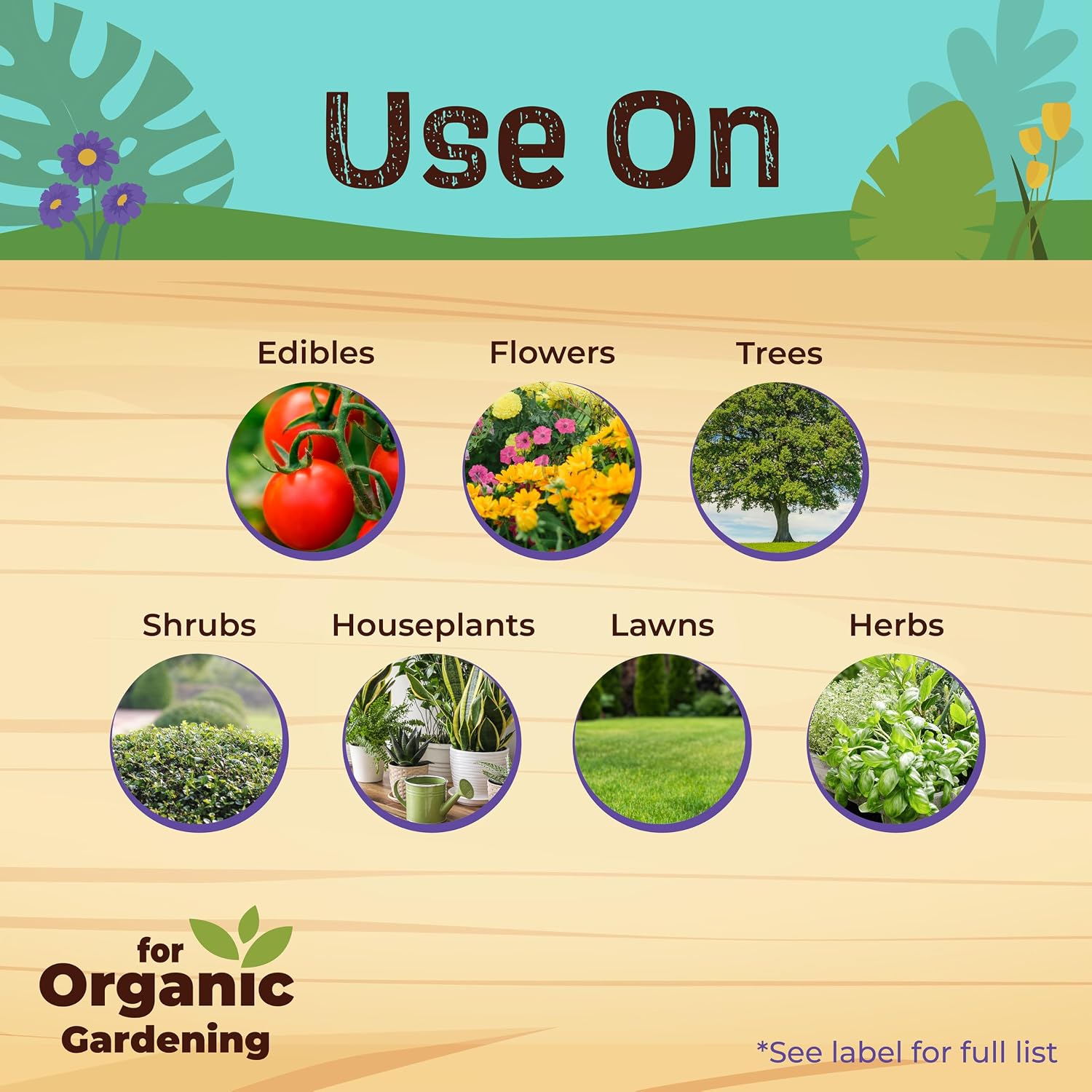 Bonide Captain Jack's Neem Oil, 16 oz. Concentrate, Multi-Purpose Fungicide, Insecticide and Miticide for Organic Gardening | Multi-Purpose Fungicide