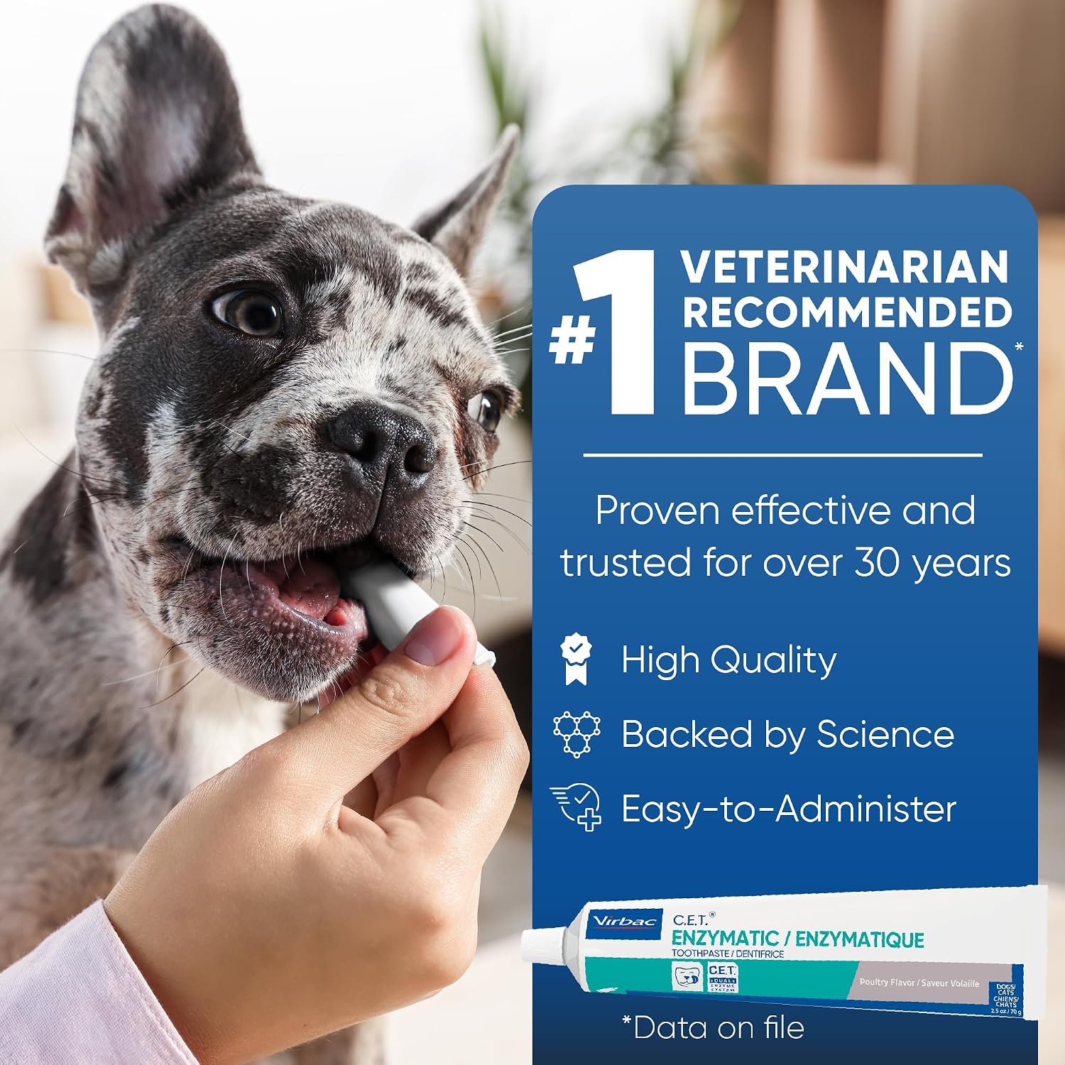 C.E.T. Enzymatic Toothpaste for Dogs and Cats, Vanilla Mint, 2.5oz | Plaque and tartar control for fresh breath, pet dental care toothpaste, Dual enzyme system, vanilla mint flavored toothpaste