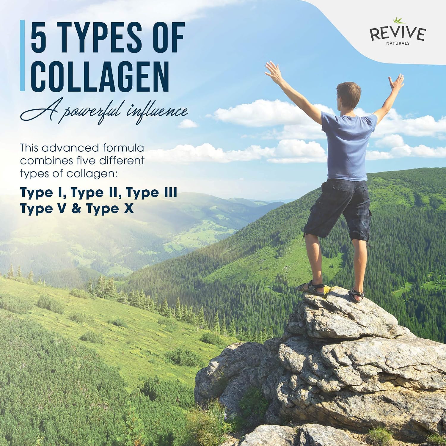Revive Naturals Multi Collagen Hydrolyzed Protein Powder (16oz) - Types I, II, III, V & X - Grass Fed Bovine, Wild Caught Marine, Free Roaming Chicken & Eggshell Collagen Peptides,