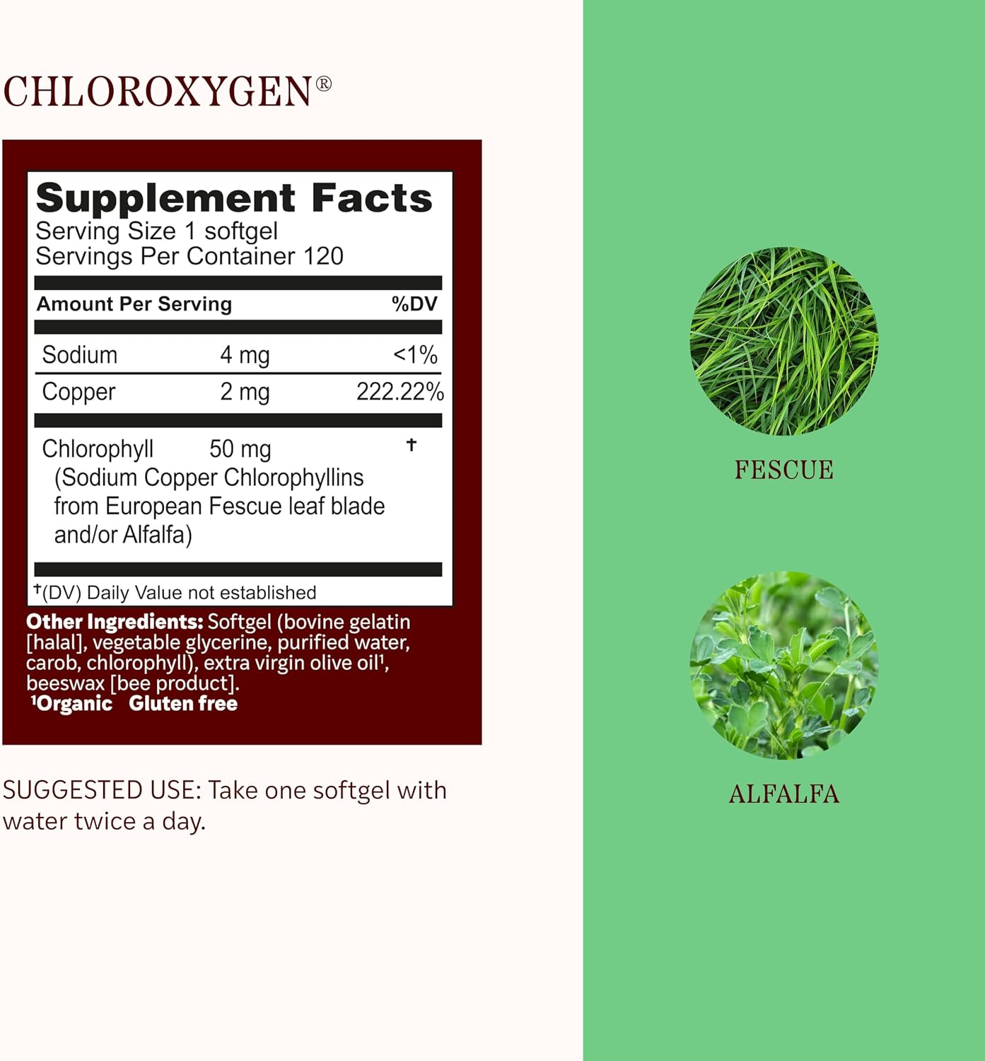 Herbs Etc. ChlorOxygen Chlorophyll Concentrate Softgels - High-Potency Chlorophyll for Detoxification Support - Deodorizing - Skin, Gut & Energy Support - 60 Count (60 Servings)