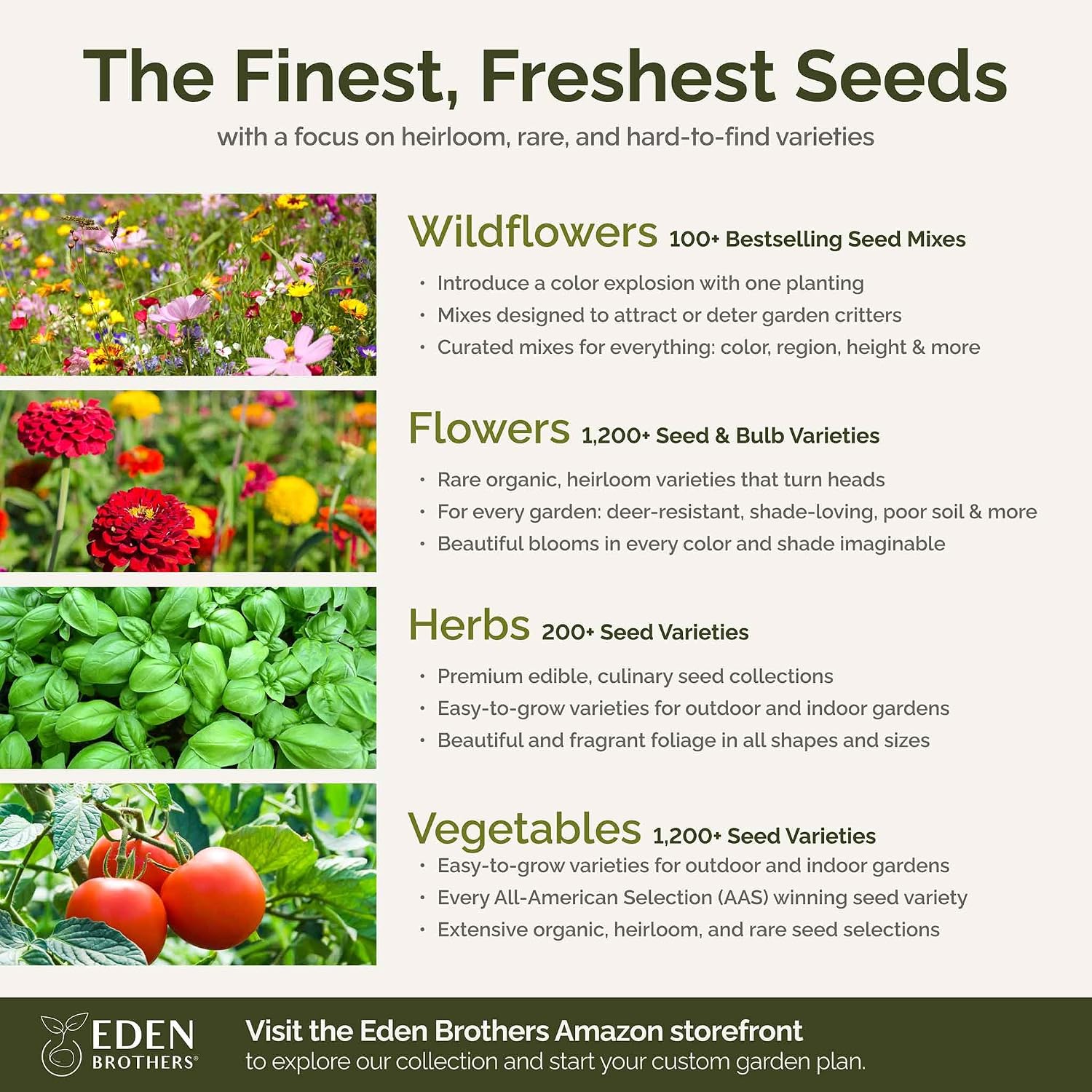 Eden Brothers All Perennial Wildflower Mixed Seeds for Planting, 1 lb, 480,000+ Seeds with Lupine, Shasta Daisy | Attracts Pollinators, Plant in Spring or Fall, Zones 3, 4, 5, 6, 7, 8, 9, 10