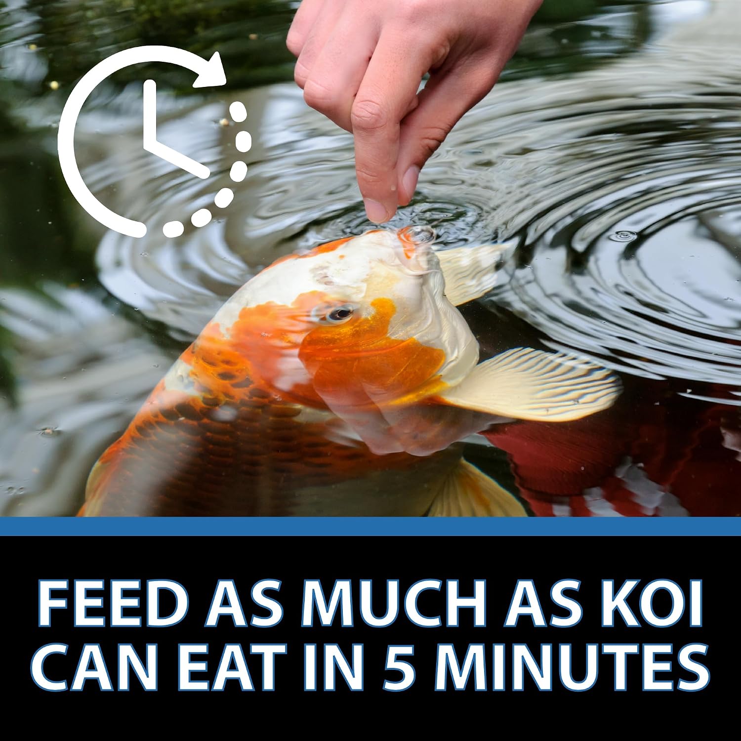 CrystalClear Platinum Fish Food Floating 5mm Pellets, 17.6 lbs | For Koi & Goldfish, premium nutrition to boost growth, color, and wellness in backyard ponds & water gardens