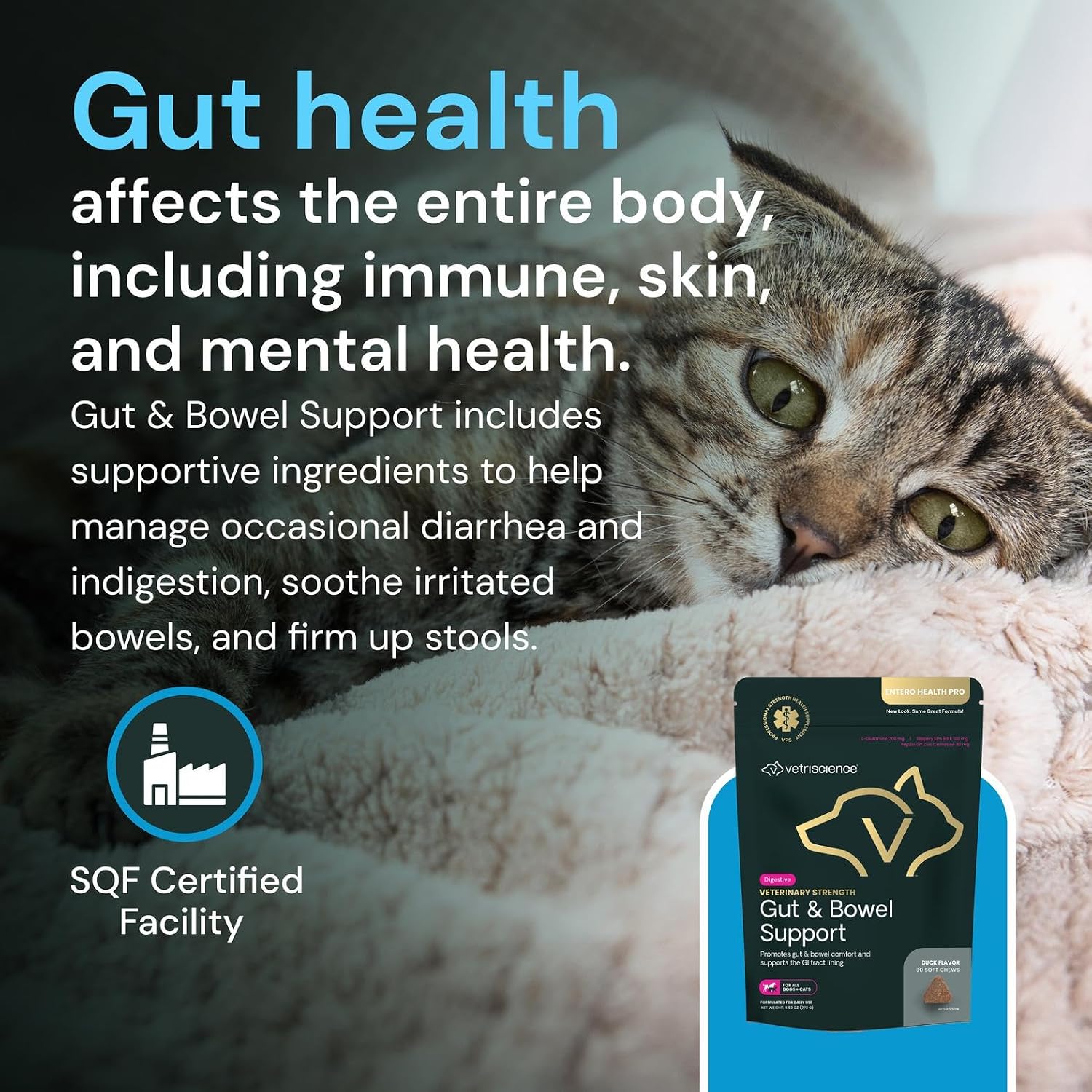 VETRISCIENCE Veterinary Strength Gut & Bowel Support for Dogs & Cats - Pet Digestive Health Supplement - Gut Health Formula - Intestinal Support