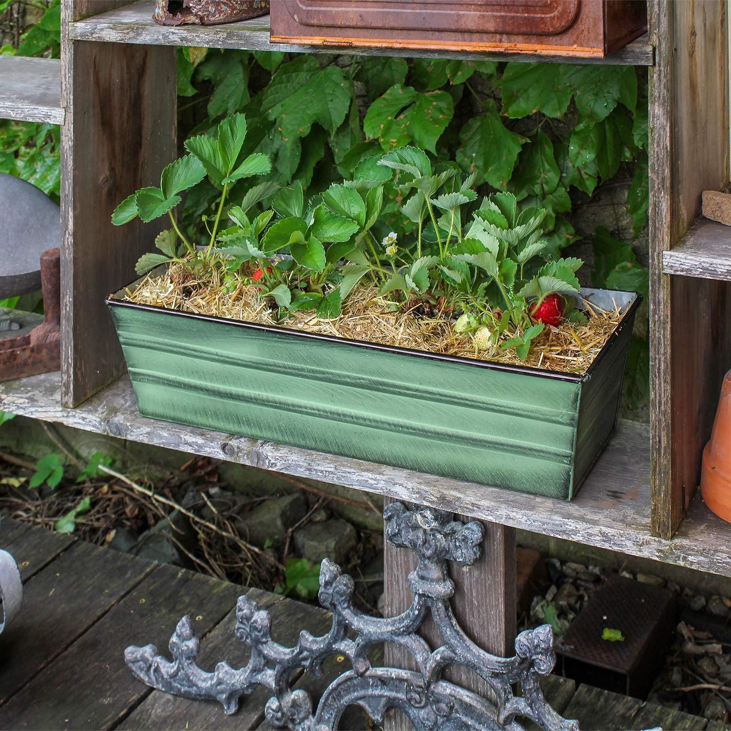 Achla Designs Galvanized Window Flower Box Planter-Green-Medium (24" L x 9.5" W x 7.5" H)