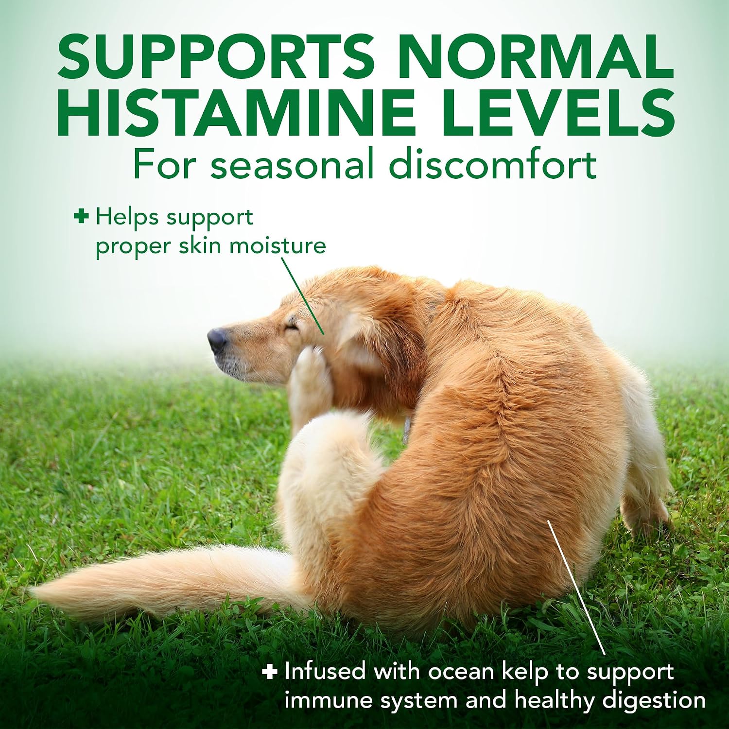 Vet's Best Seasonal Allergy Chewable Tablets for Dogs, Soothes Dog, 60ct | Seasonal Allergy Relief Tablets, Helps Soothe Itchy Skin