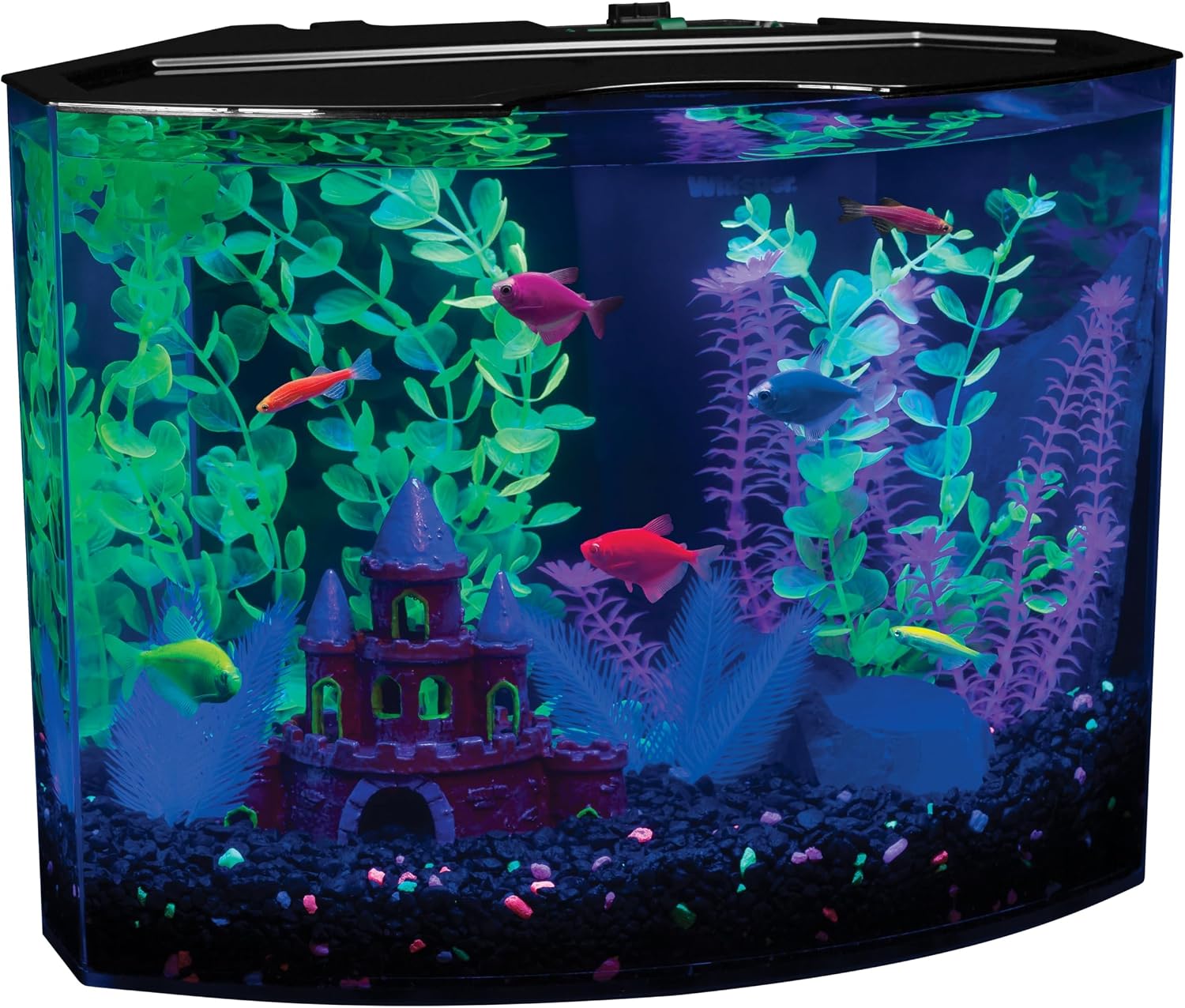 GloFish Crescent aquarium Kit 3 Gallons, Includes Hidden Blue LED Light And Internal Filter