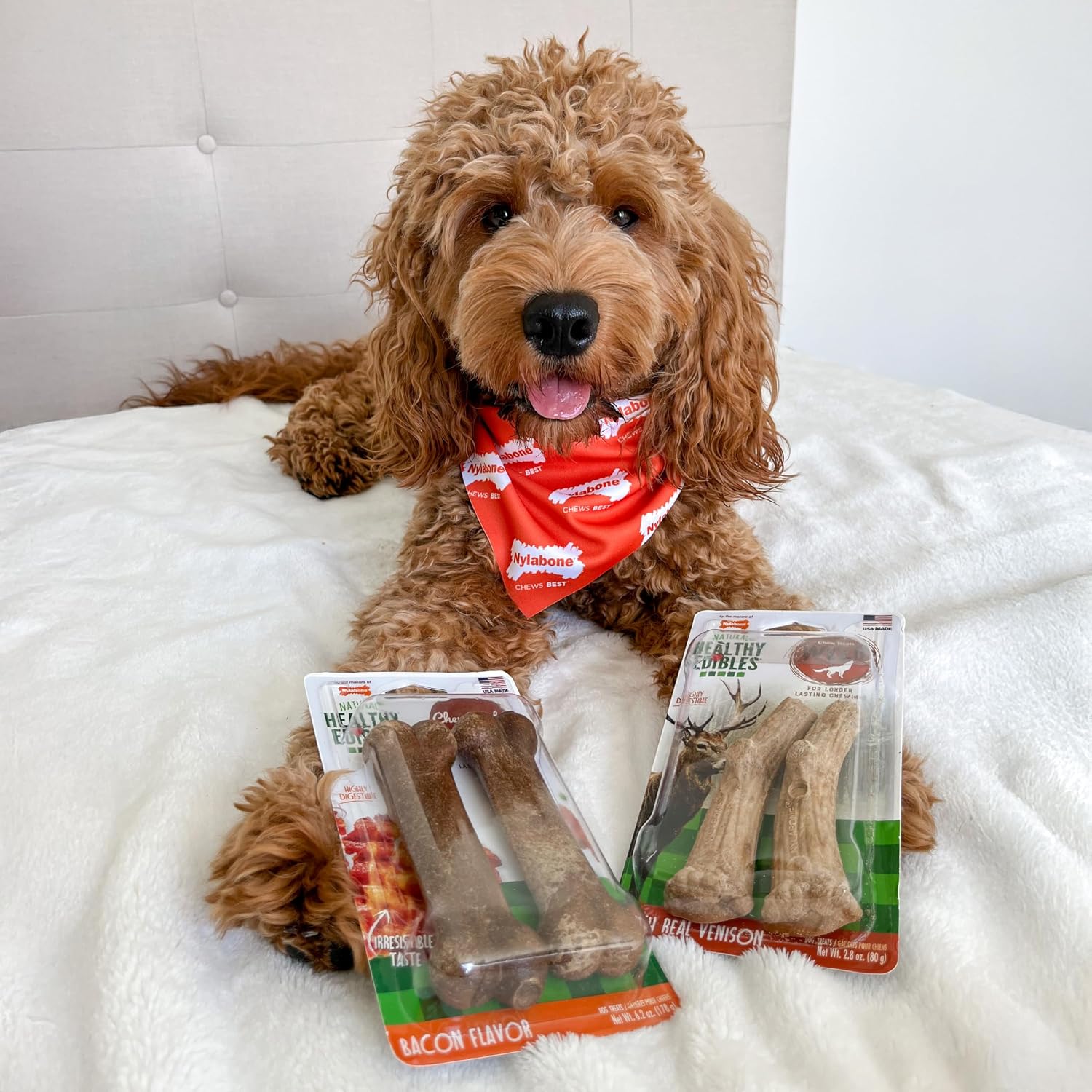 Nylabone Healthy Edibles Wild Dog Treats, Venison Flavor, Large | Natural dog chew bones, made in USA, highly digestible dog chews, long lasting chews for large dogs up to 50 lbs