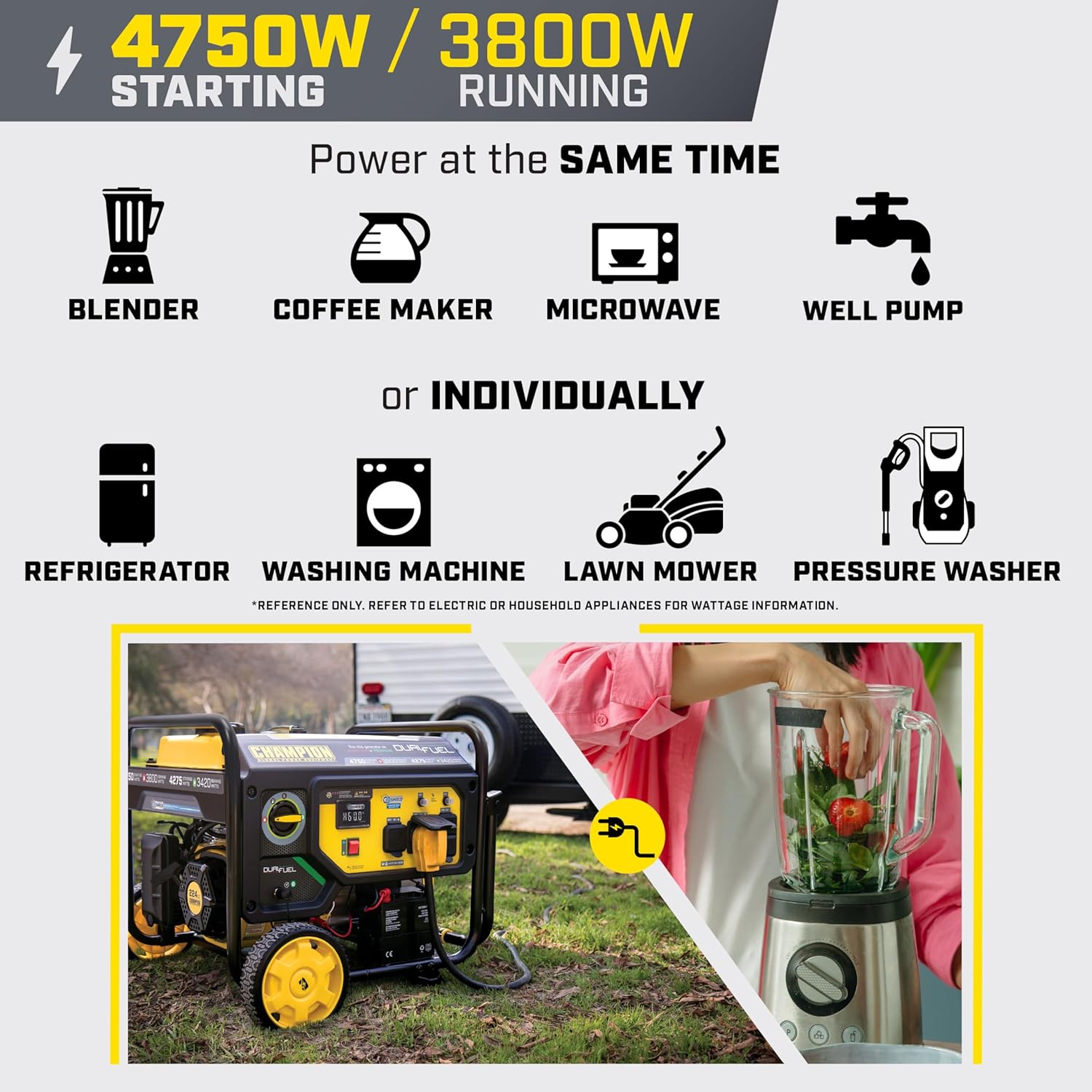 Champion Power Equipment 4750-Watt Electric Start Dual Fuel RV Ready Portable Generator with Free 3-Year Warranty, CARB Compliant