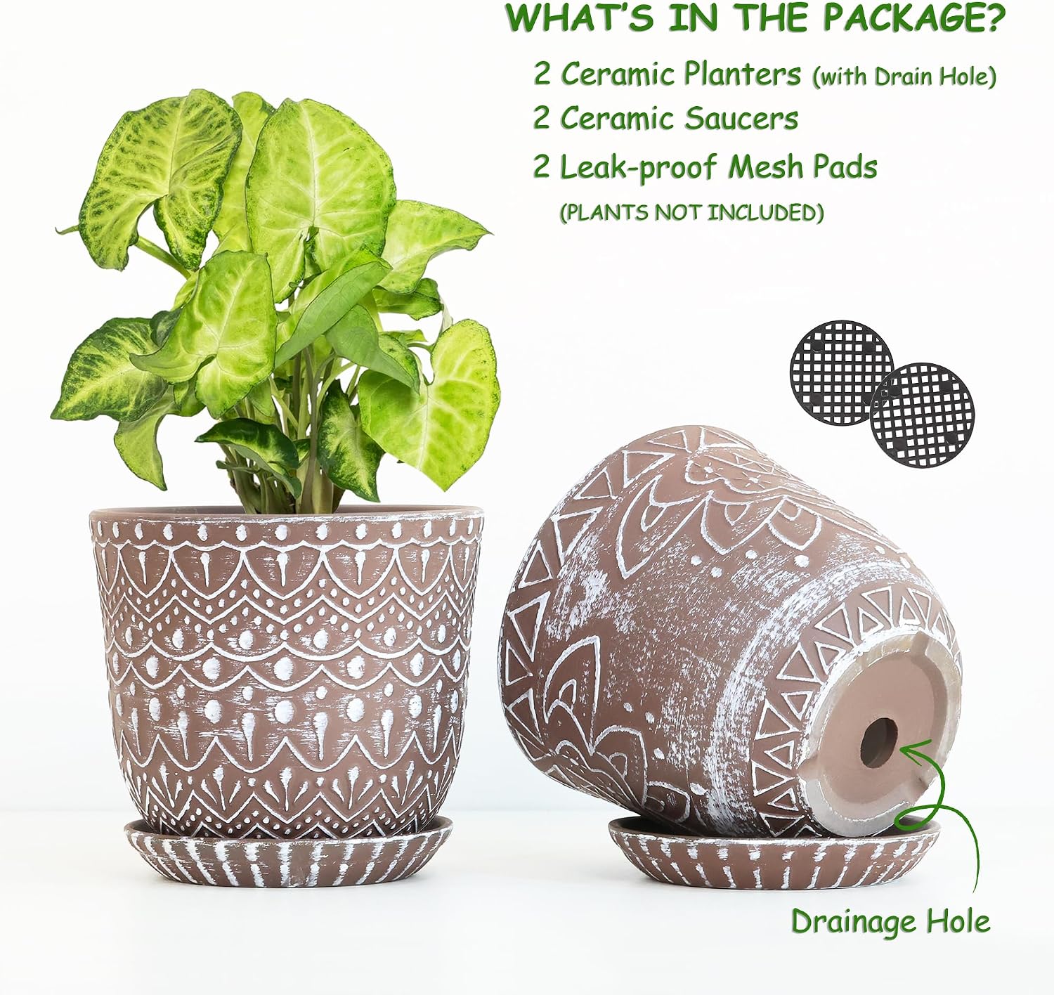 Gepege Ceramic Plant Pots, 6 Inch Indoor Planters with Drainage & Saucers