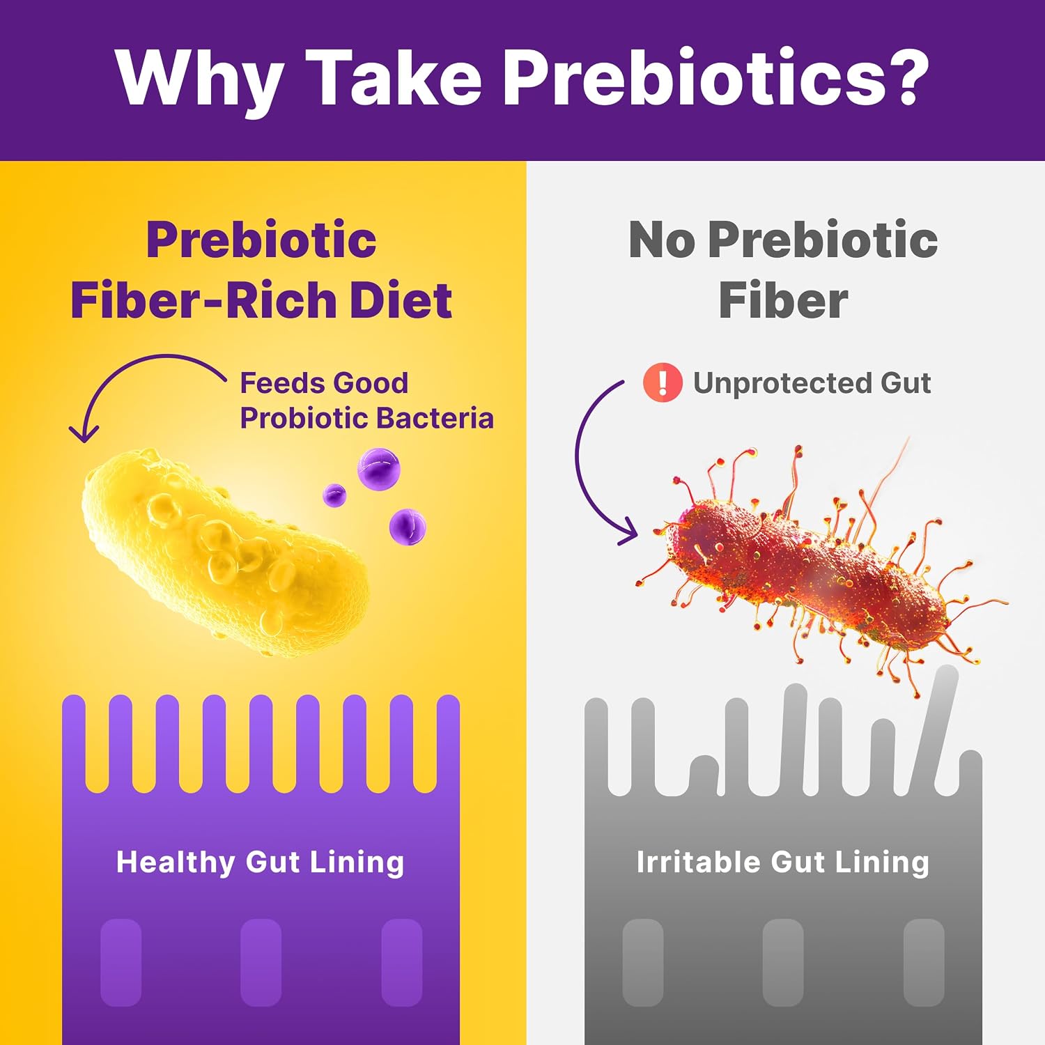 InnovixLabs Prebiotic Fiber Powder for Digestive & Gut Health (6.4oz, 180g) | High Fiber Supplement for Women & Men