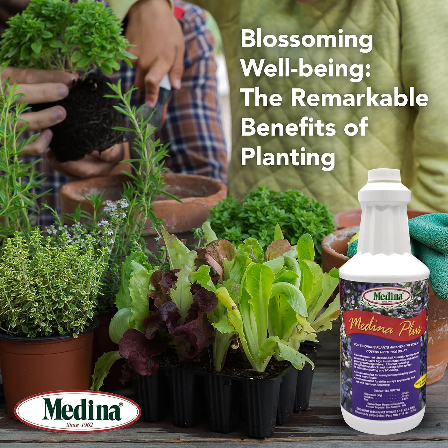 Medina Plus Soil Activator - Liquid Soil Loosener for Lawns & Gardens - Micronutrient-Rich Soil Conditioner & Softener - Used with House Plant Fertilizer, Liquid Plant Food for Houseplants - 1 End Qt