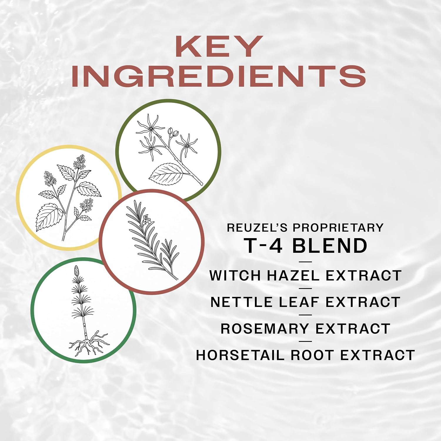 Reuzel Daily Shampoo, Cleanses Hair and Scalp, 33.81 oz | Gentle Cleansing and Scalp Balancing. T4 Tonic Blend with Witch Hazel, Nettle, Rosemary and Horsetail. Vegan.