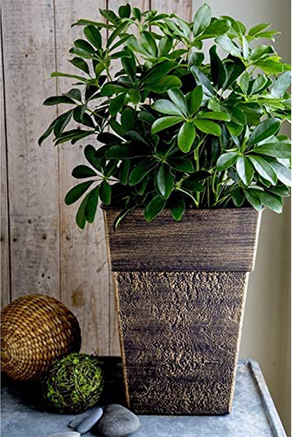 The HC Companies 18 Inch Avino Tall Square Planter - Decorative Indoor Outdoor Plant Pot for Front Porch, Deck, Patio and Home, Oxidized Black