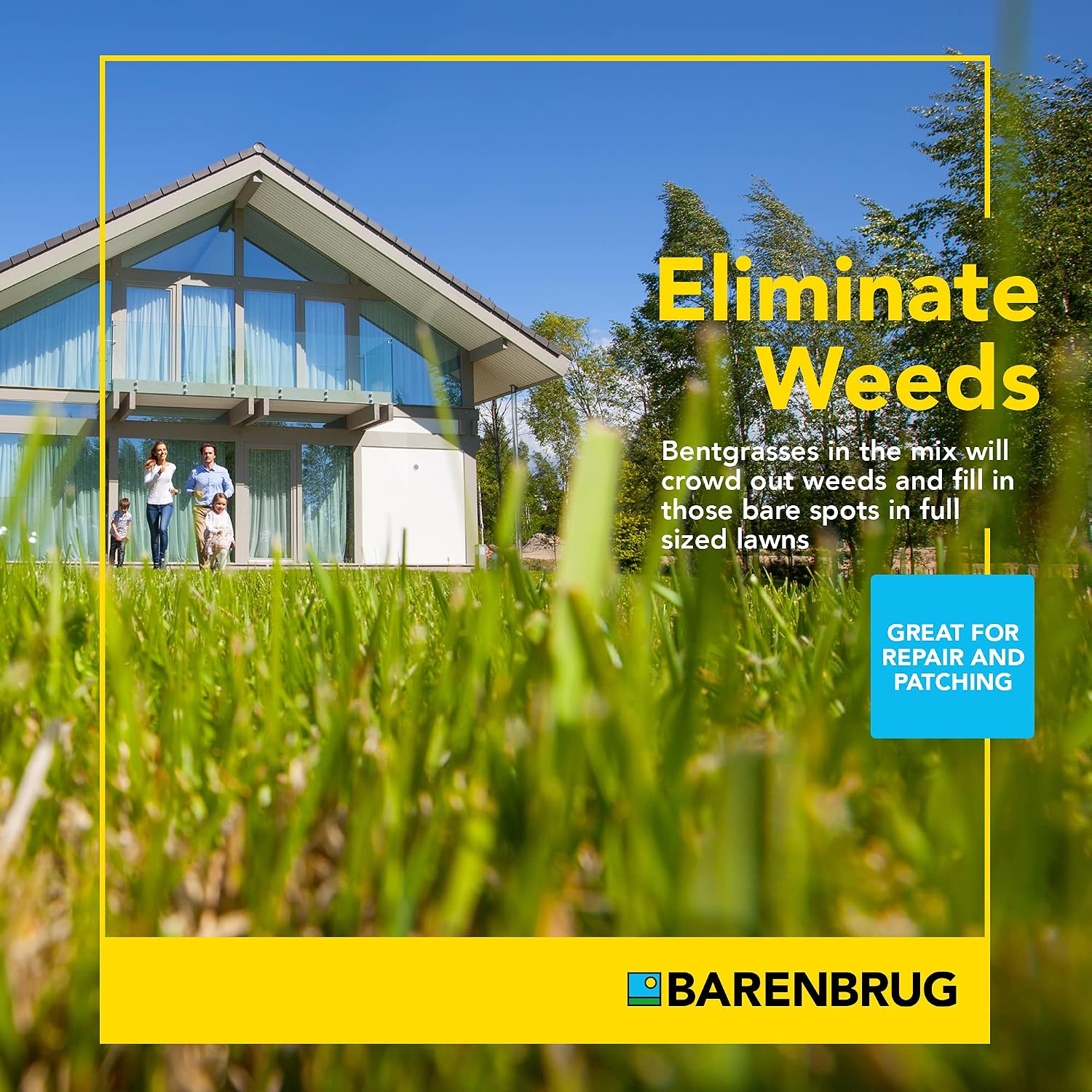 Barenbrug 25045 Bermudagrass Grass Seed for Sunny Areas and Humid Climates, 5 LB Bag