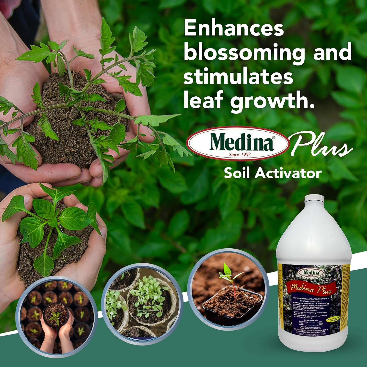 Medina Plus Soil Activator - Liquid Soil Loosener for Lawns & Gardens - Micronutrient-Rich Soil Conditioner & Softener - Used with House Plant Fertilizer, Liquid Plant Food for Houseplants - 1 End Qt