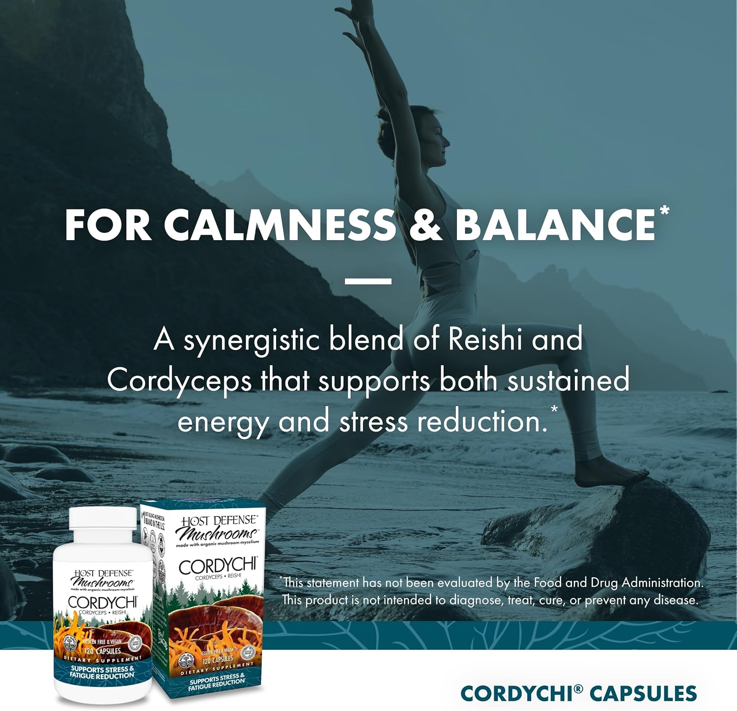 Host Defense CordyChi Capsules - Energy & Immune Support Supplement - Cordyceps & Reishi Mushroom Supplement for Relaxation & Respiratory Support - Aids Against Tiredness - 120 Capsules