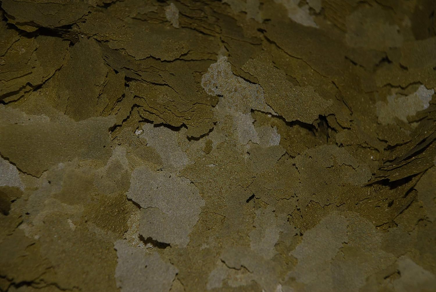 Ken's Ultra Intense Spirulina Flake 1/2 lb.